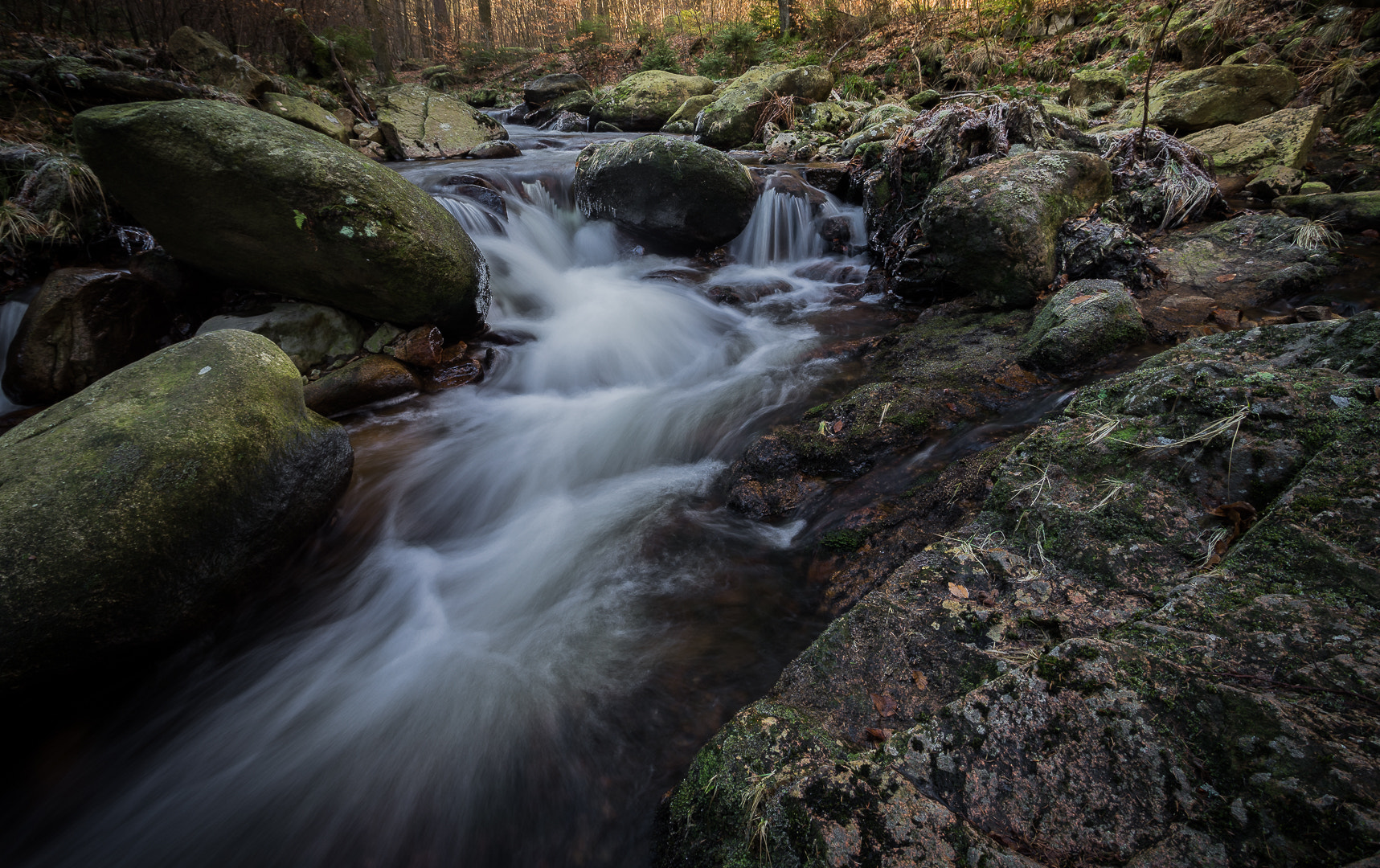Sony a7R + Sony DT 50mm F1.8 SAM sample photo. Wilderness photography