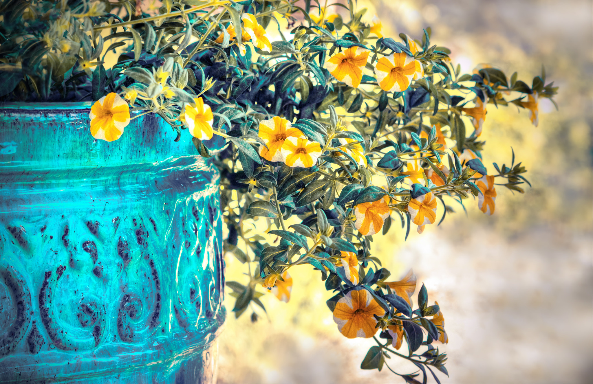 Sigma 70-300mm F4-5.6 APO Macro Super II sample photo. Sparks of joy photography