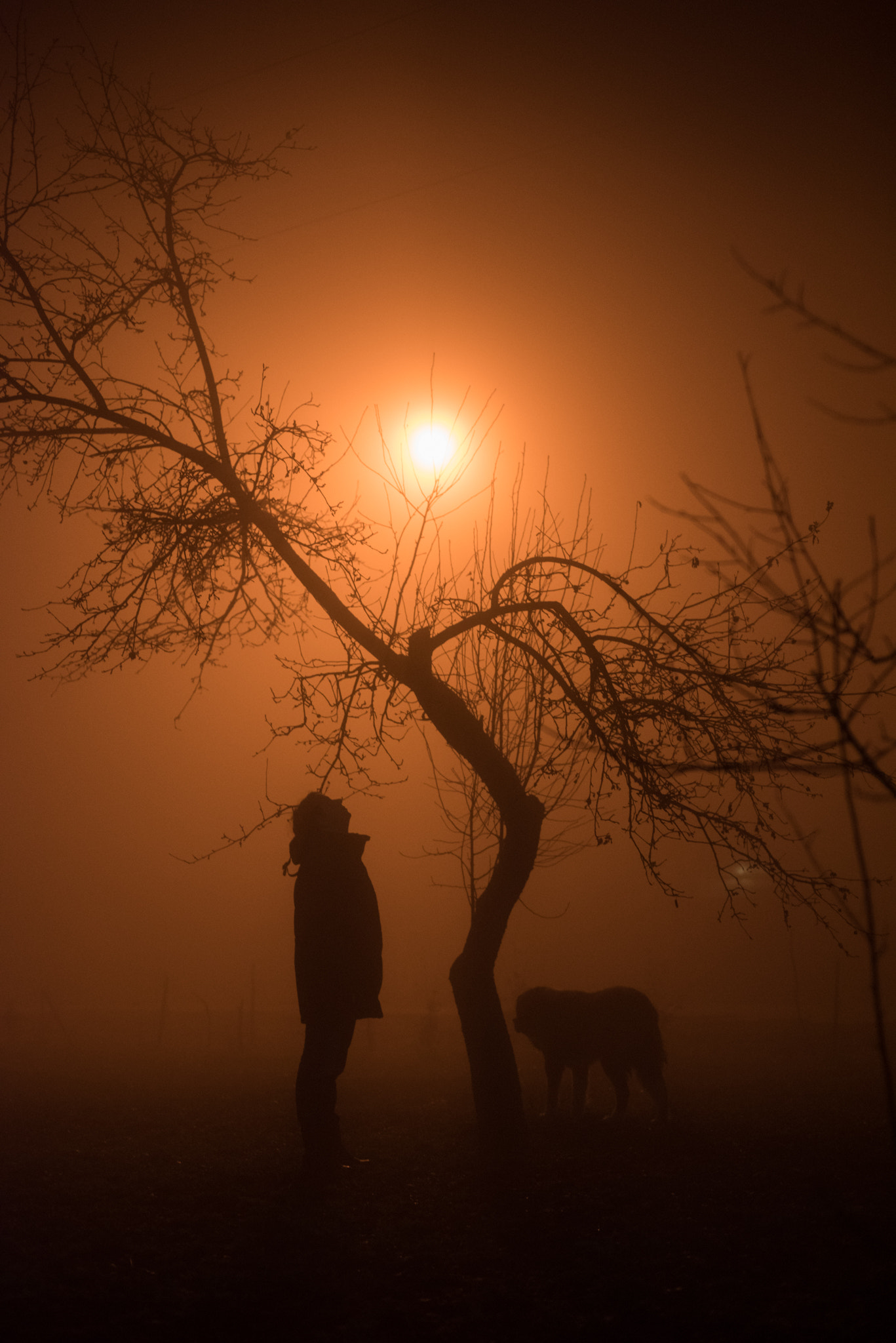 Nikon D810 + Nikon AF Nikkor 50mm F1.8D sample photo. Fog photography