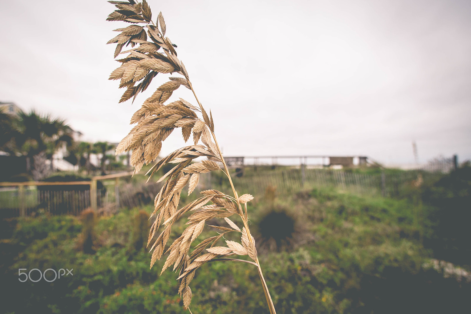 Canon EF 14mm F2.8L USM sample photo. Img photography