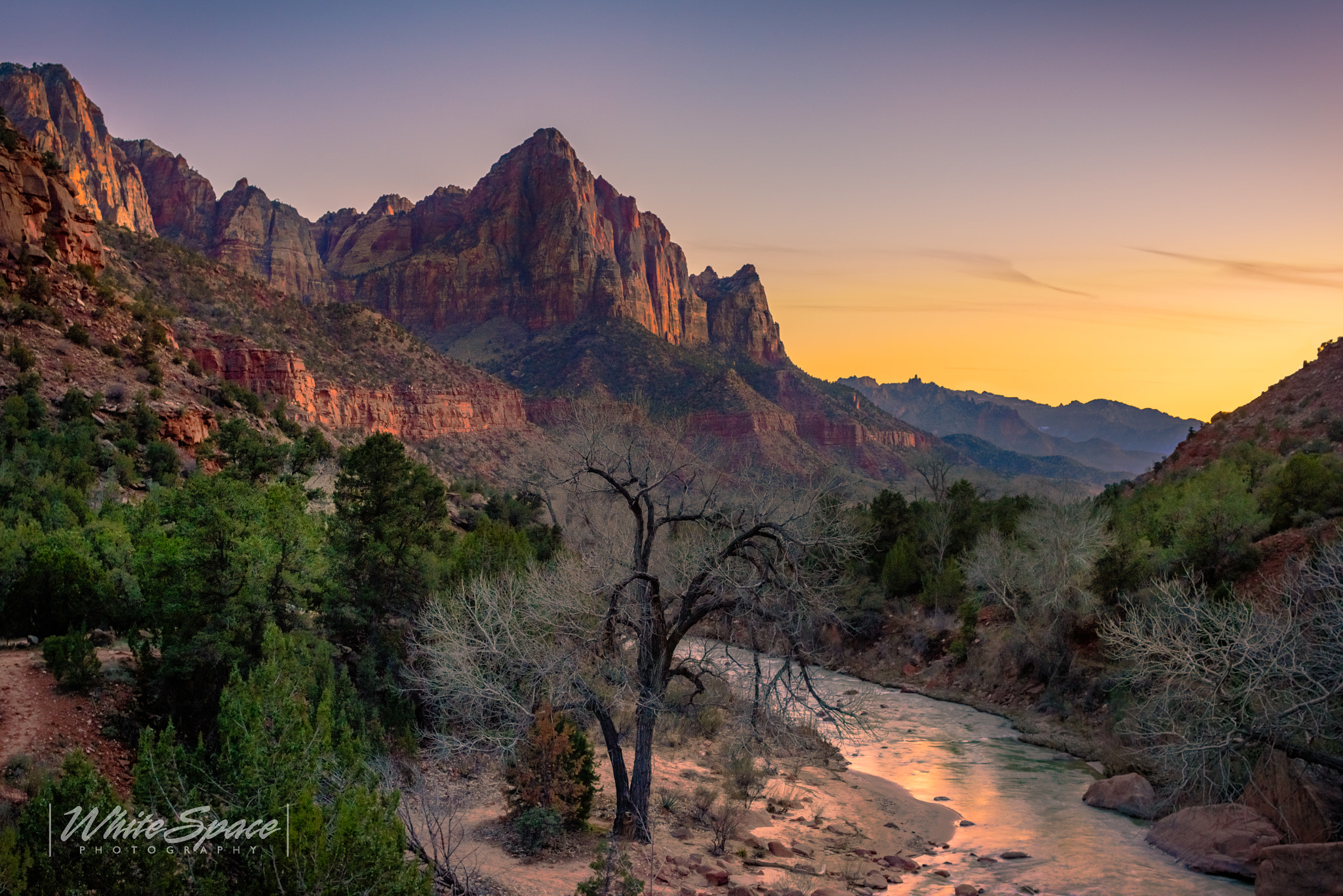 Nikon D810 + Nikon PC-E Nikkor 45mm F2.8D ED Tilt-Shift sample photo. The watchman photography