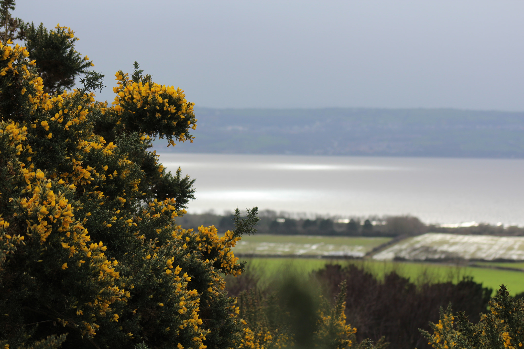 Canon EF 75-300mm f/4-5.6 USM sample photo. Img photography
