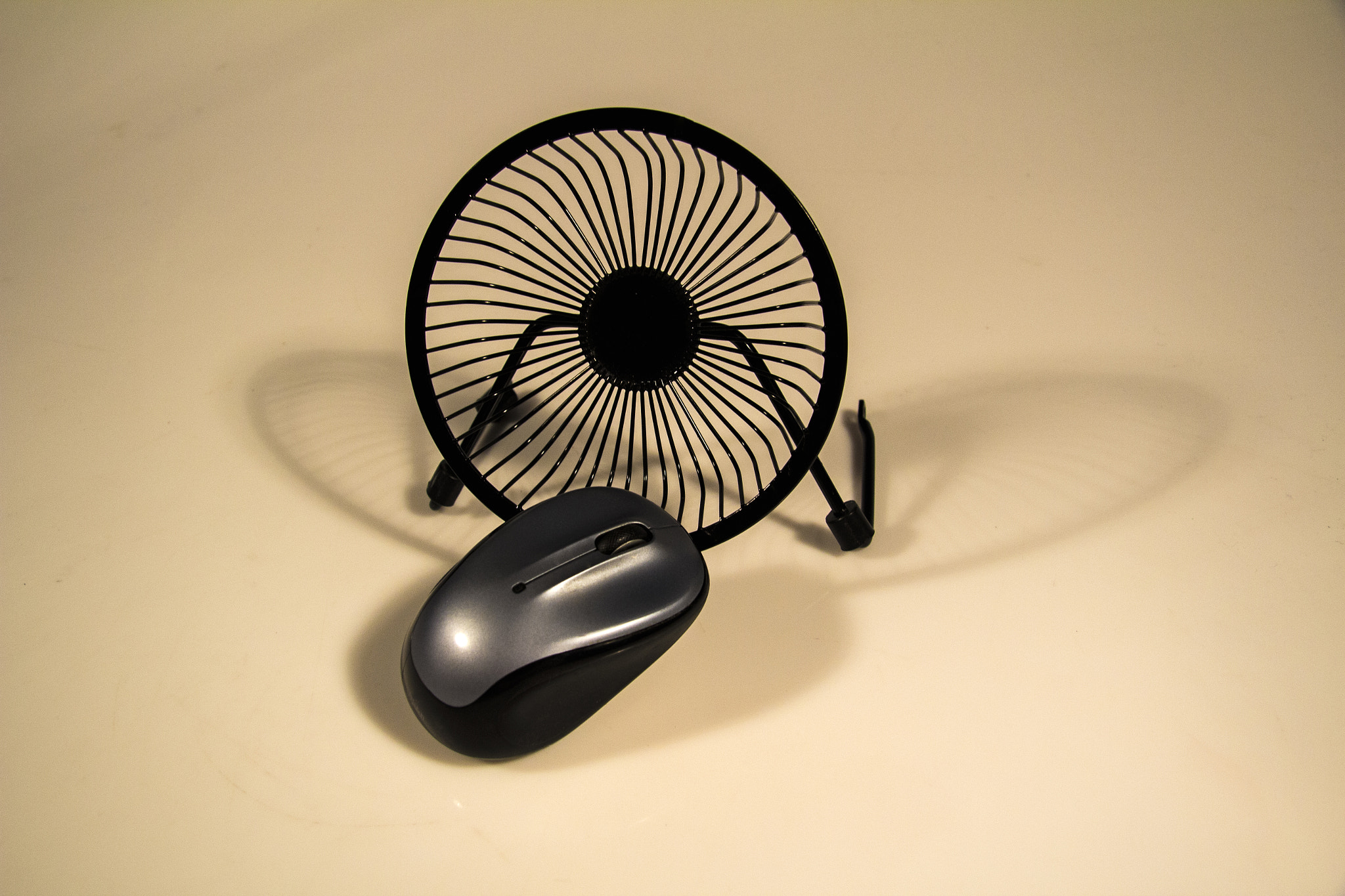 Canon EF-S 17-85mm F4-5.6 IS USM sample photo. Mouse photography