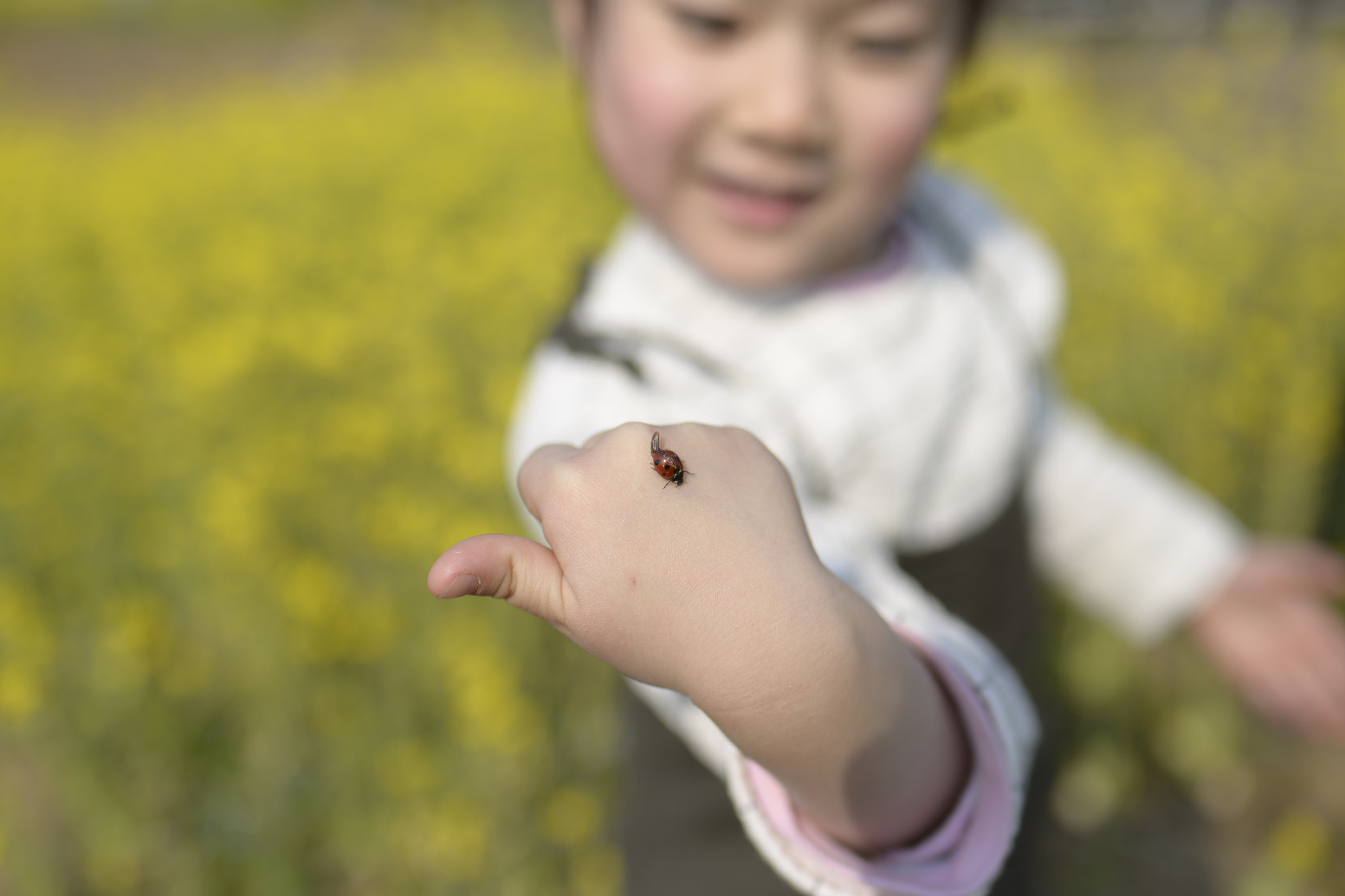 Nikon D610 + Tamron SP 35mm F1.8 Di VC USD sample photo