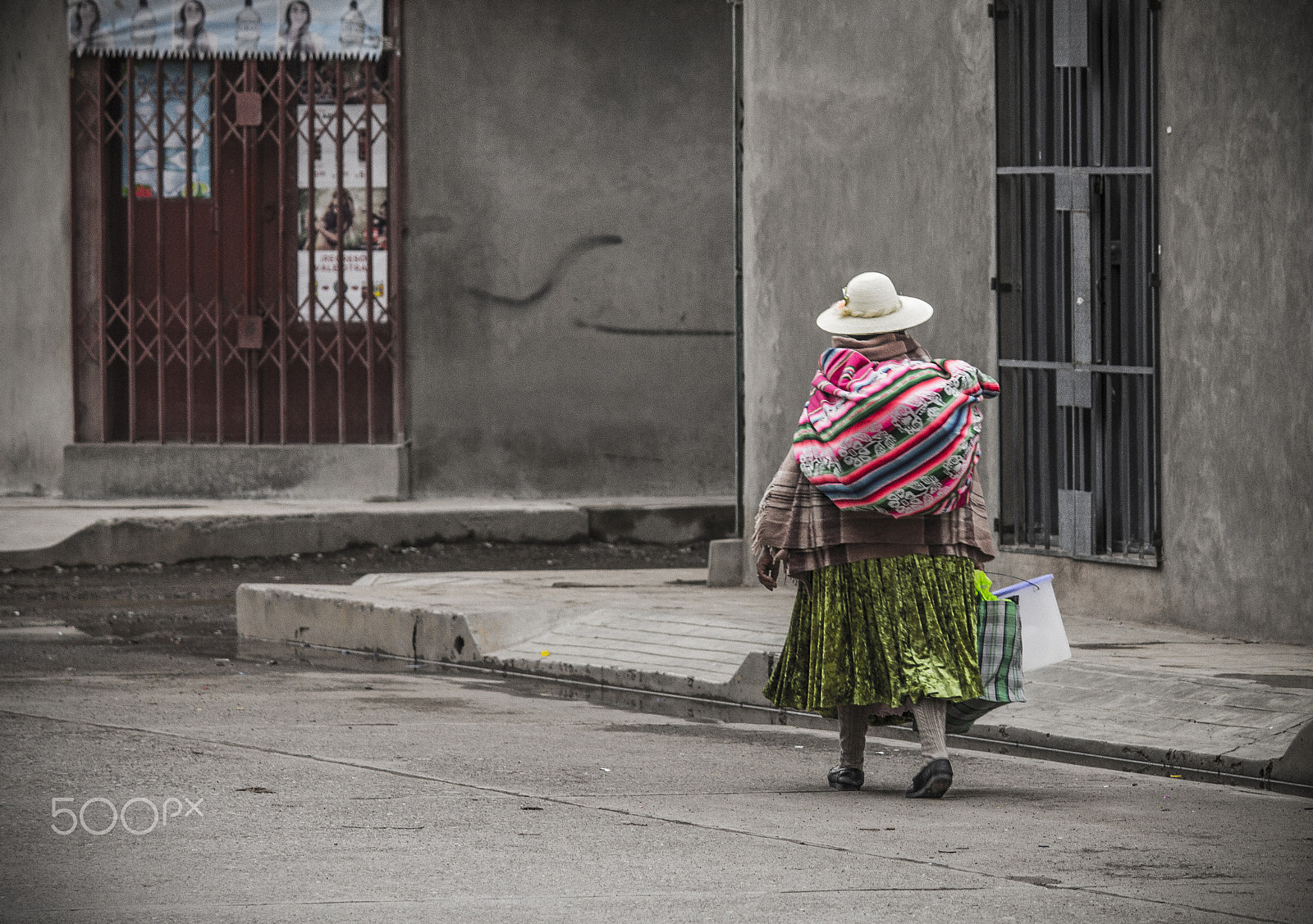 Canon EF-S 55-250mm F4-5.6 IS sample photo. Regreso photography