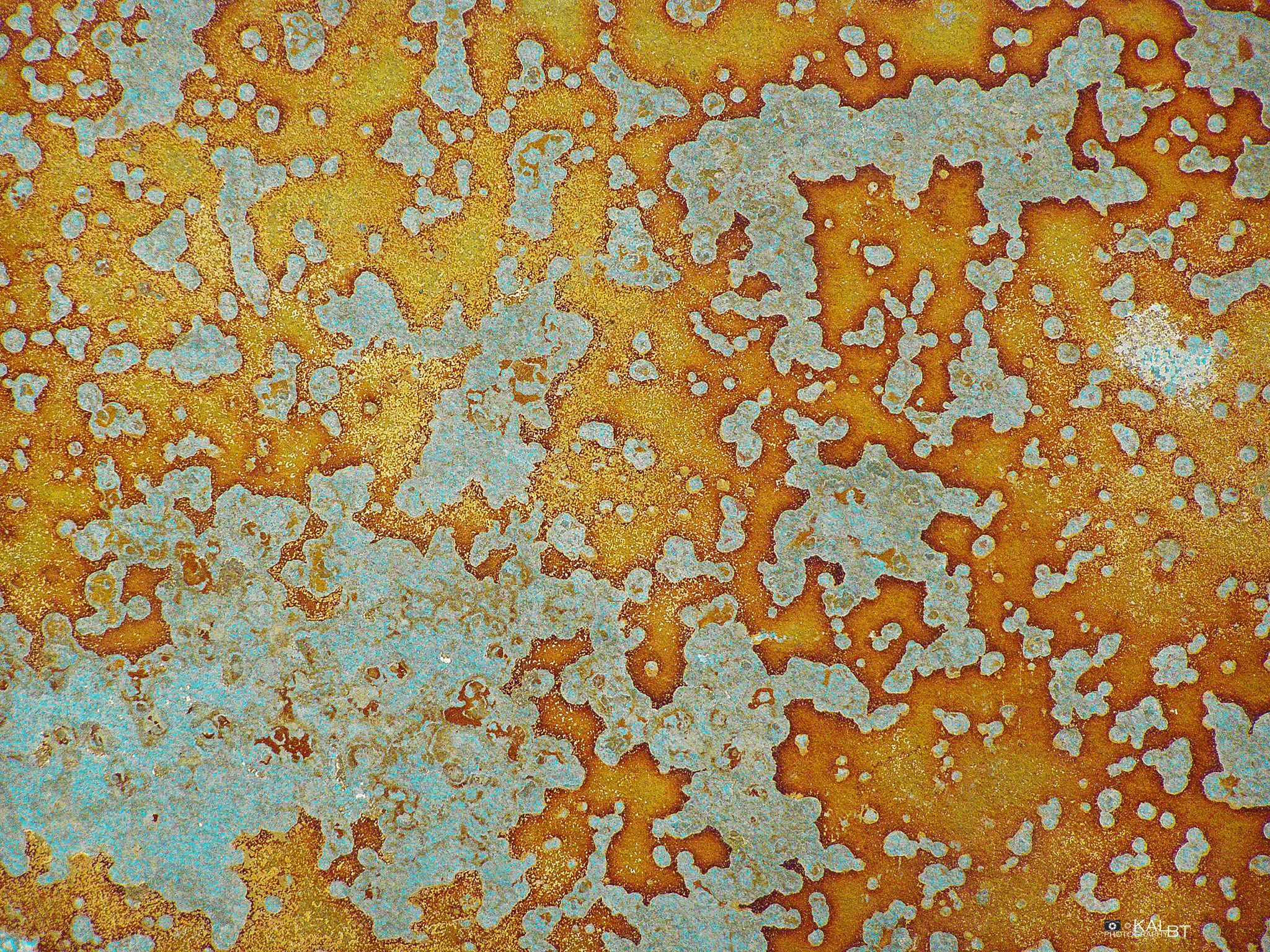 Olympus SP510UZ sample photo. Abstract (17) / coral reef photography