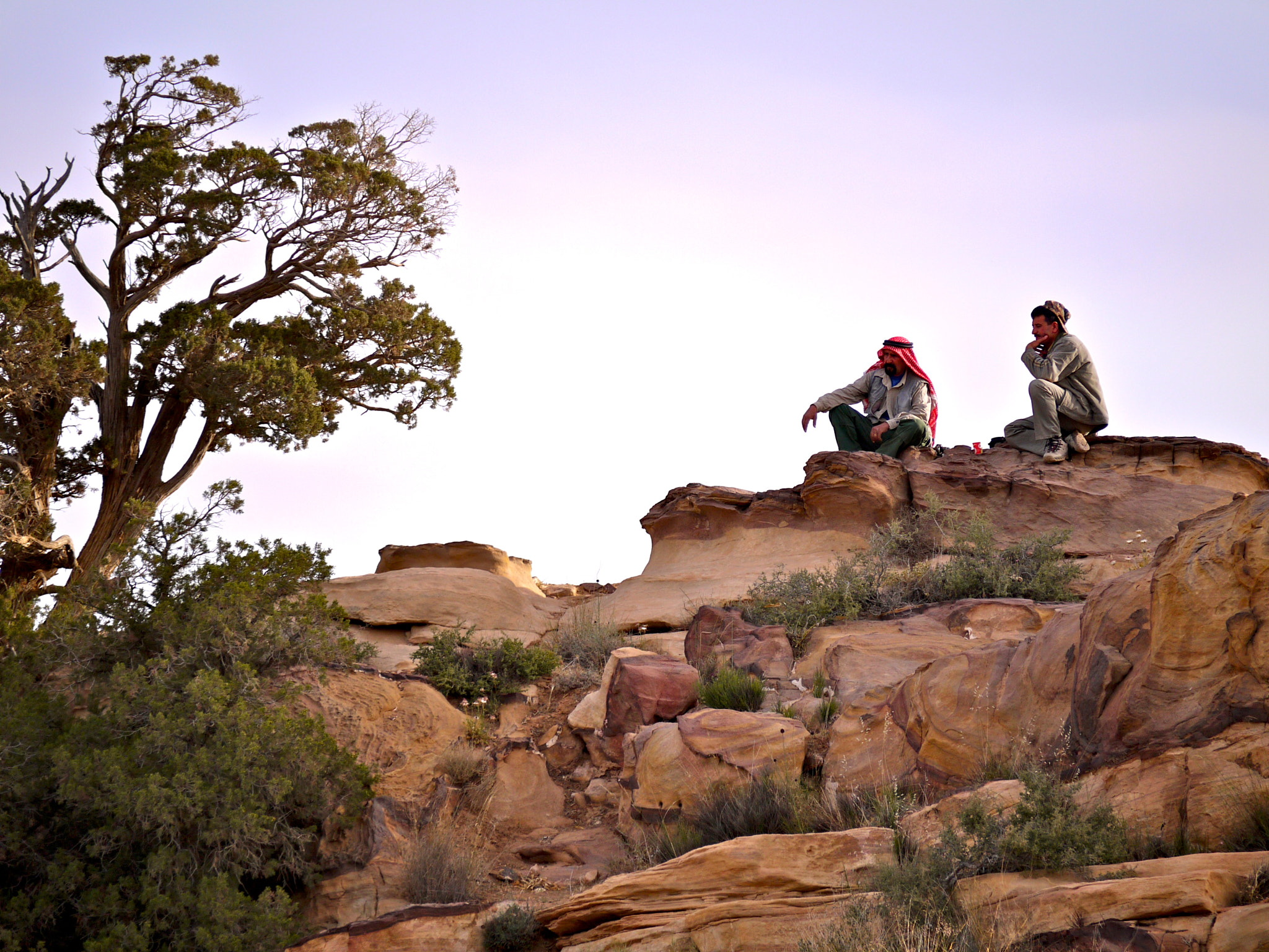 Panasonic Lumix G Vario 45-200mm F4-5.6 OIS sample photo. Rummana camp (rscn), dana. jordan. photography