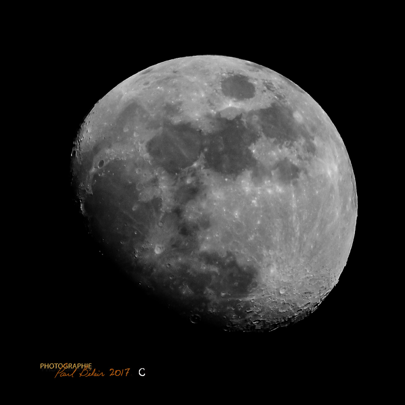 Sigma 150-500mm F5-6.3 DG OS HSM sample photo. Focus stacking (6 photos empilées avec hélicon focus) photography