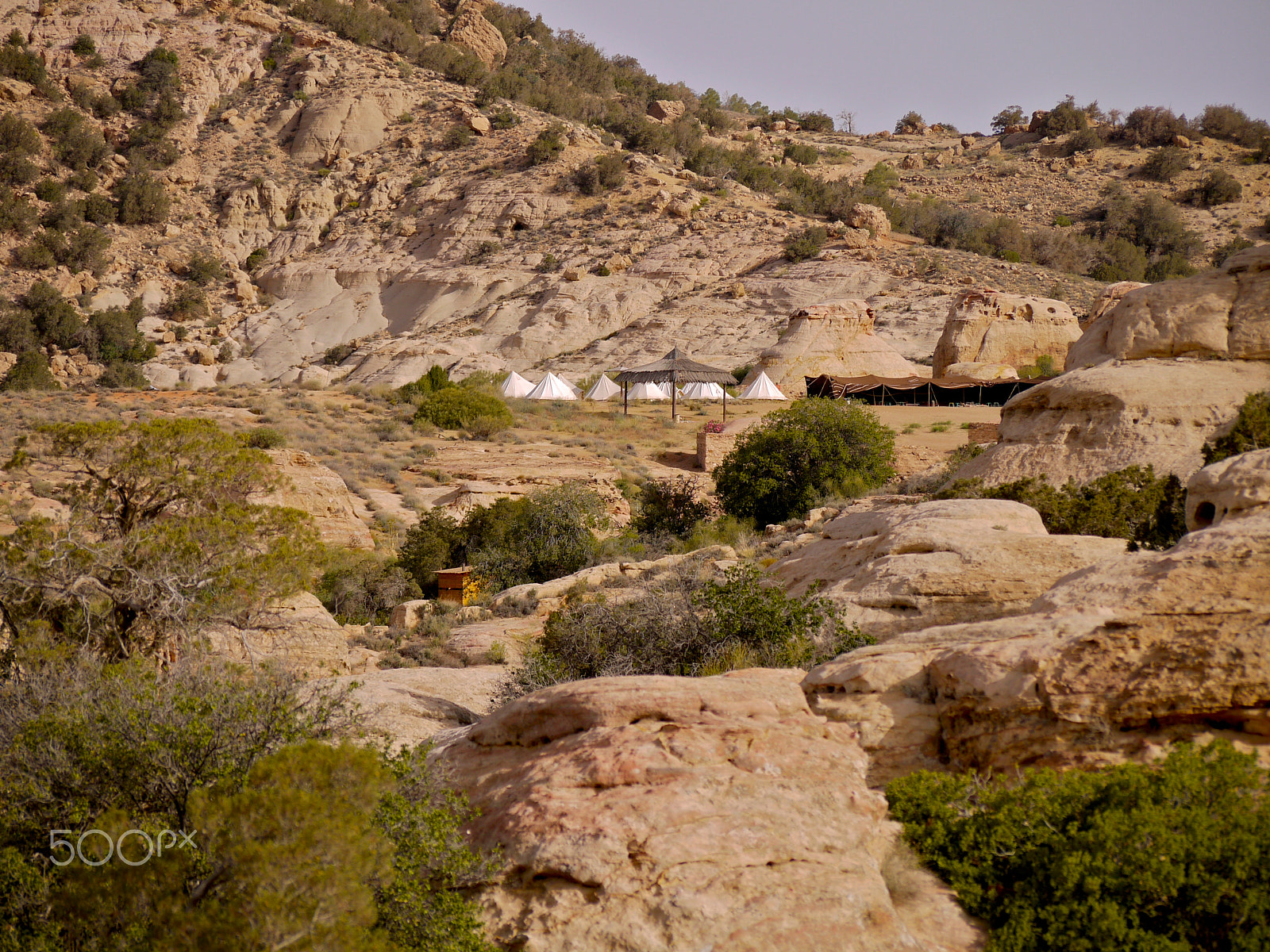 Panasonic Lumix G Vario 45-200mm F4-5.6 OIS sample photo. Nubian ibex, rummana camp, dana. jordan photography