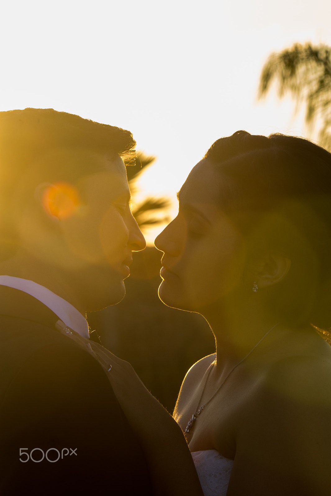 Canon EF-S 55-250mm F4-5.6 IS II sample photo. Kiss photography