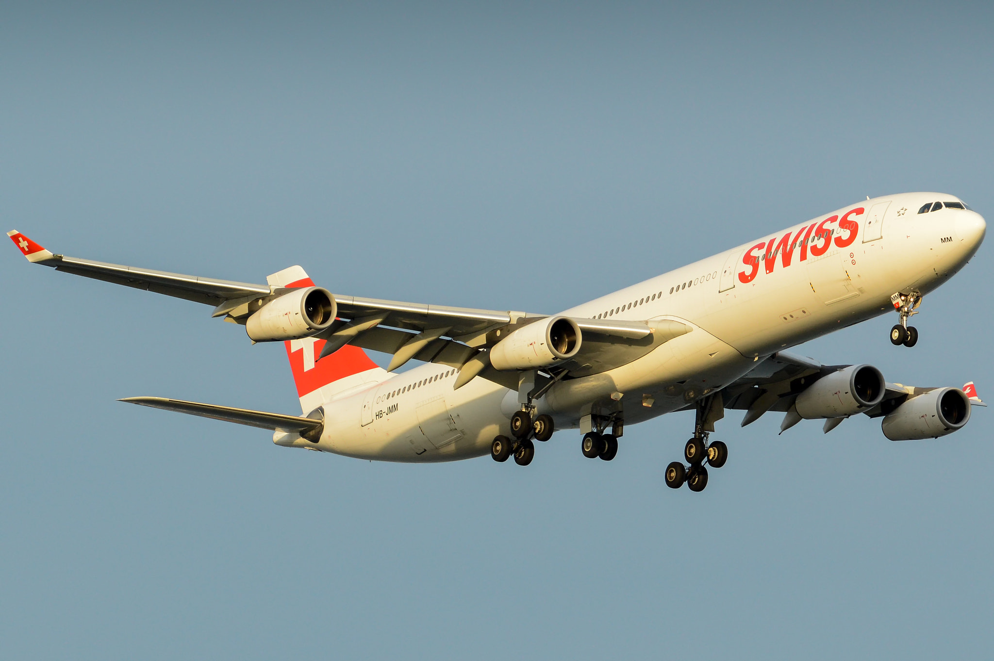 Nikon D3200 sample photo. Swiss a340 in some nice contrast. photography