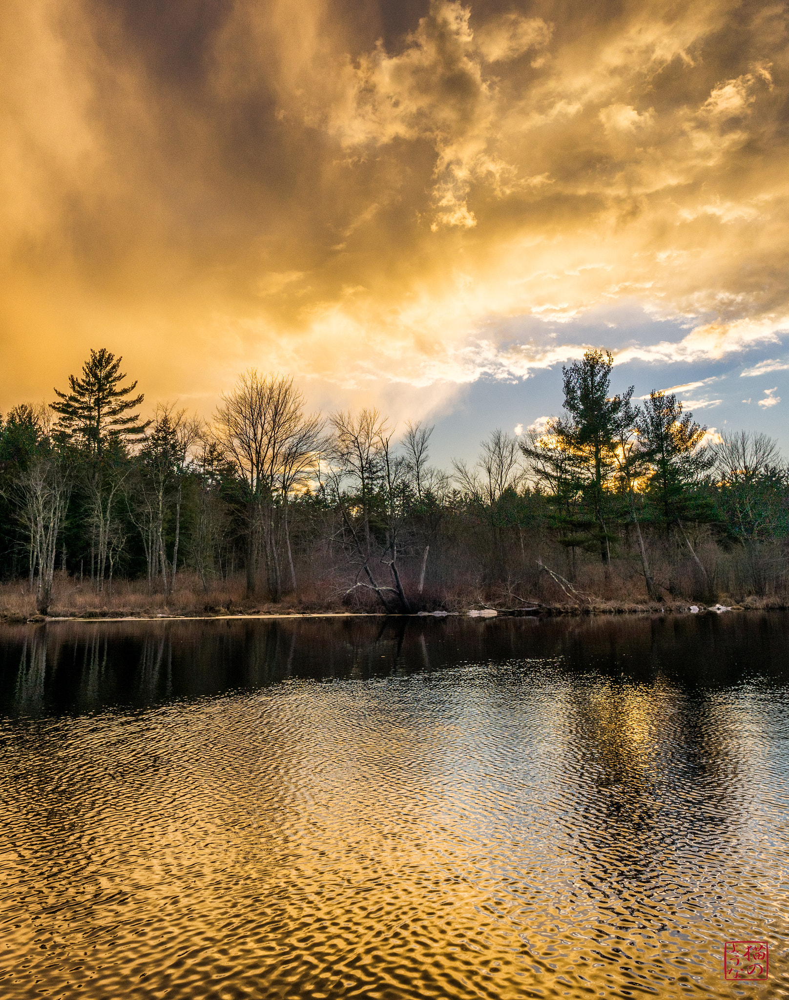 Sony a7 + Sony Sonnar T* E 24mm F1.8 ZA sample photo. Golden glow photography