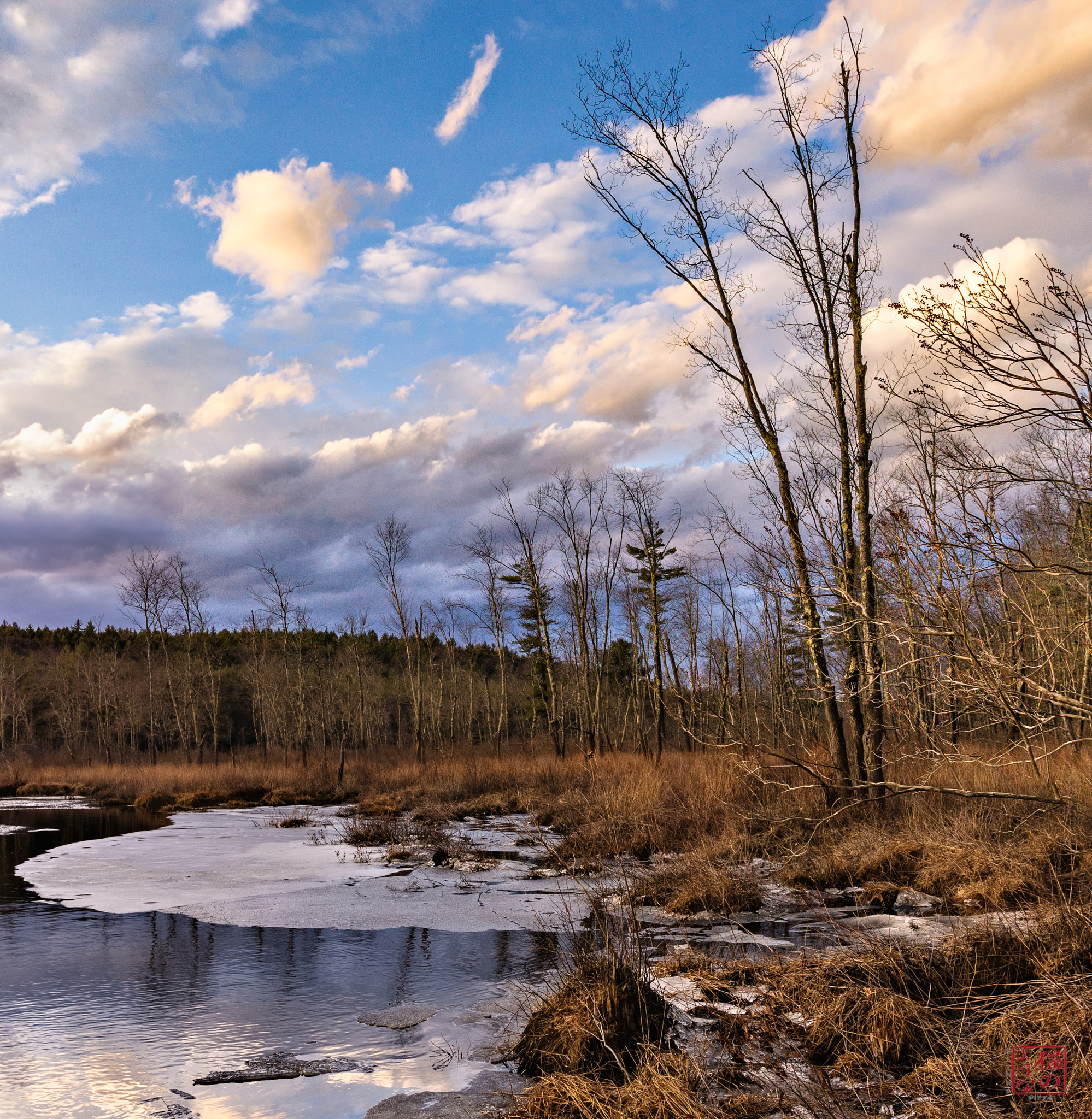 Sony a7 + Sony Sonnar T* E 24mm F1.8 ZA sample photo. The evening show photography