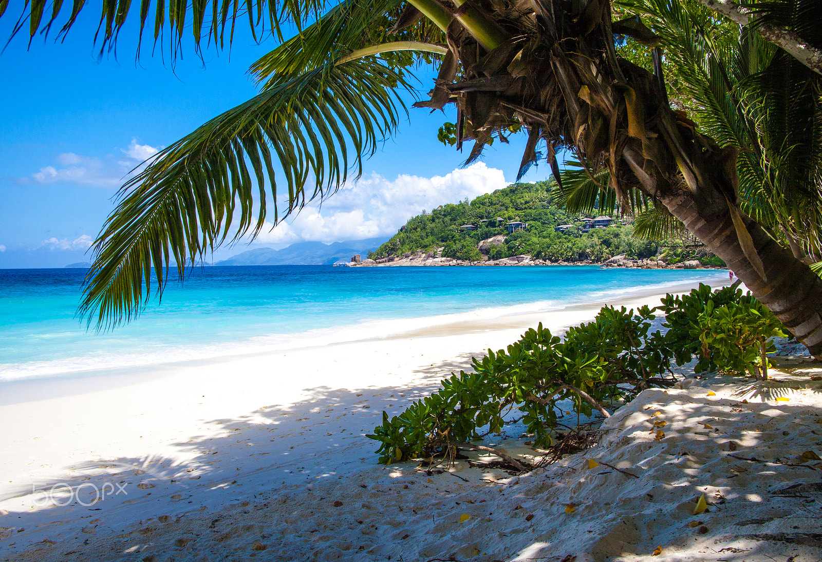 Canon EF 24mm F1.4L II USM sample photo. Four seasons resort, seychelles photography