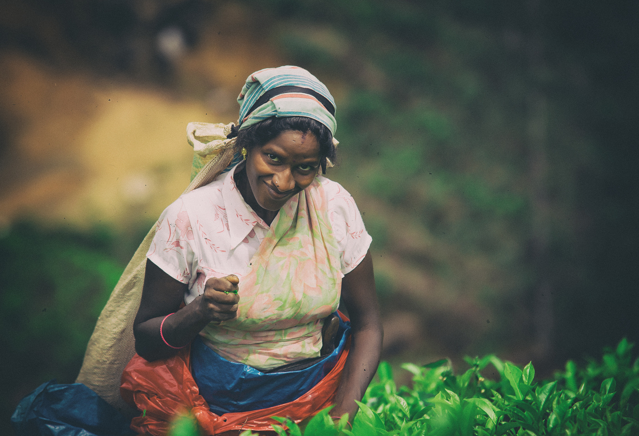 Sigma 70-200mm F2.8 EX DG Macro HSM II sample photo. Tea picker photography