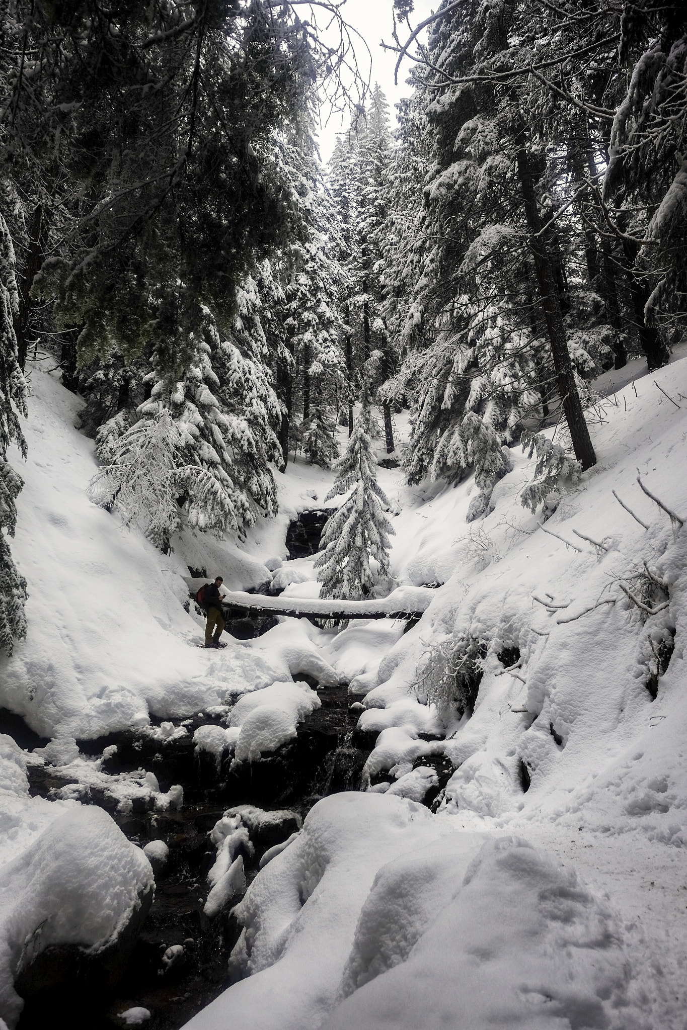 Fujifilm X-T1 + Fujifilm XF 14mm F2.8 R sample photo. Mountain stream photography