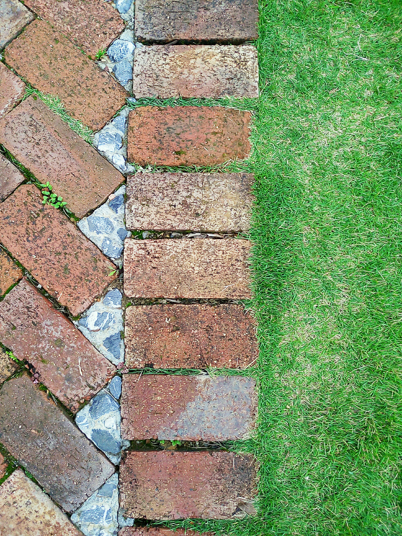 Meizu MX5 sample photo. 草绿砖红 photography