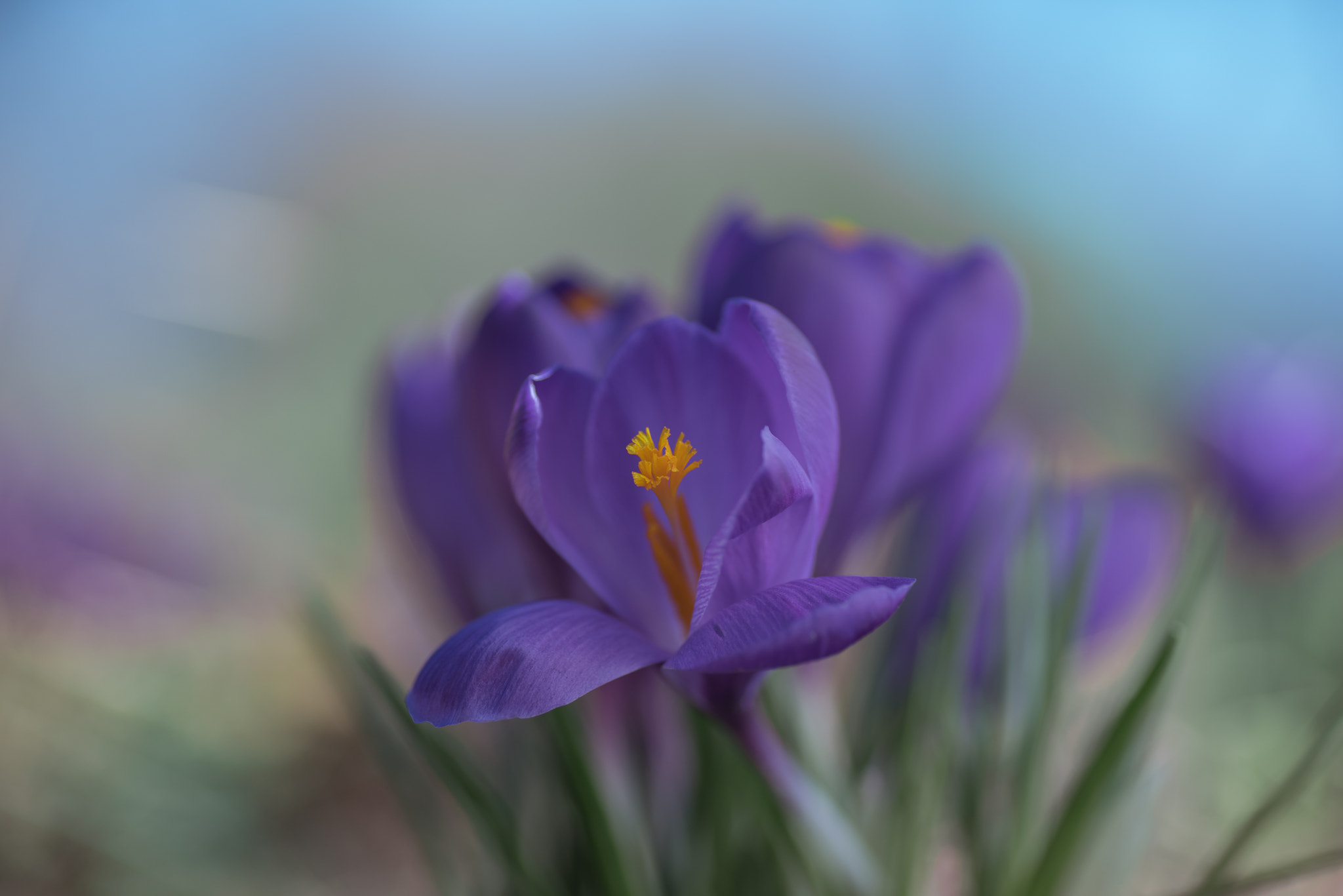 Nikon D810 sample photo. Untitled photography