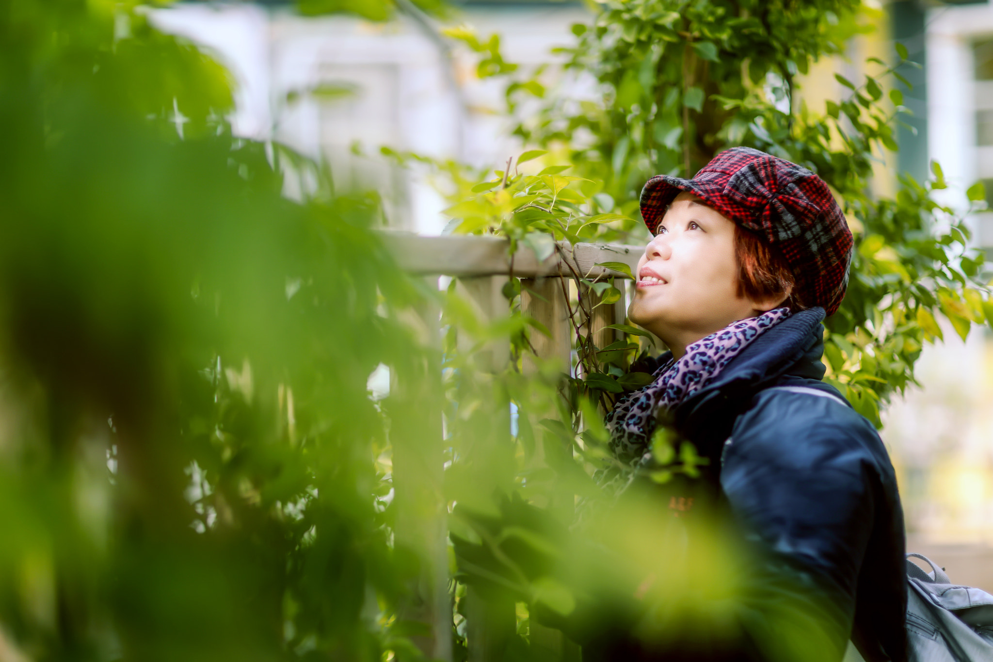 Canon EF 85mm F1.2L II USM sample photo. 红杏欲出墙 photography