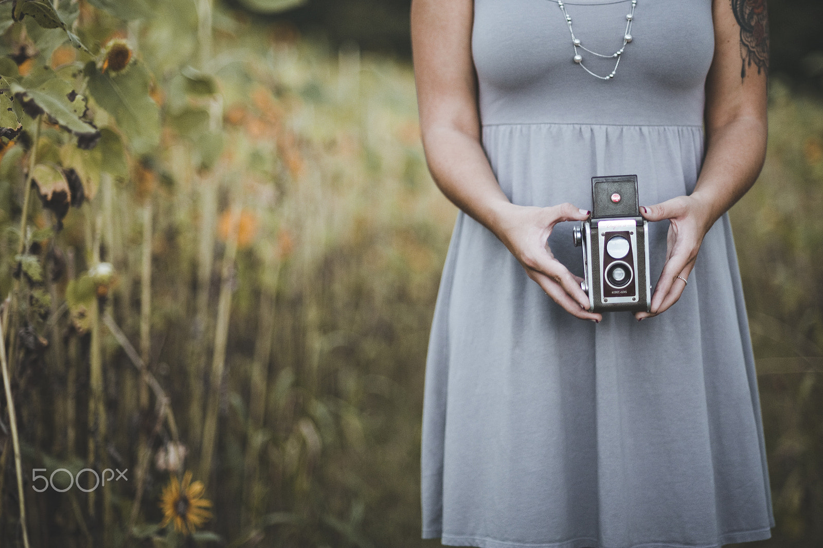 Nikon D700 + Nikon AF Nikkor 85mm F1.8D sample photo. Amber in the sunflowers photography