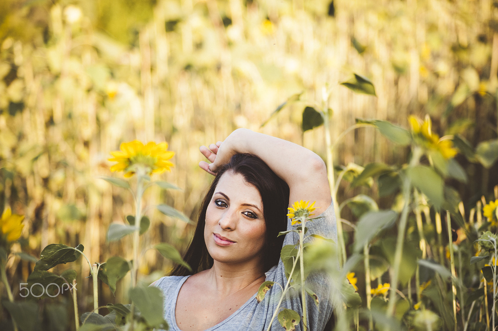 Nikon D700 sample photo. Amber in the sunflowers photography