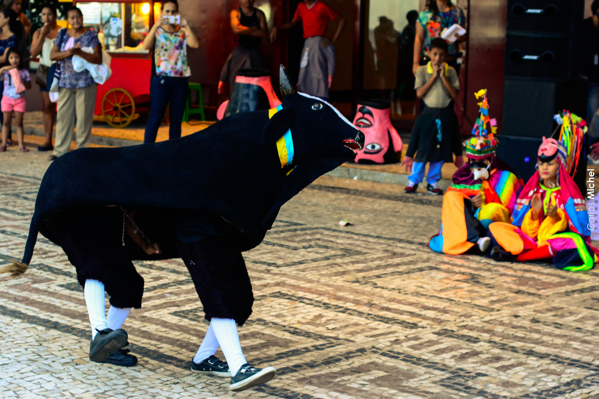 Nikon D5200 + Nikon AF Nikkor 50mm F1.8D sample photo. Sem título photography