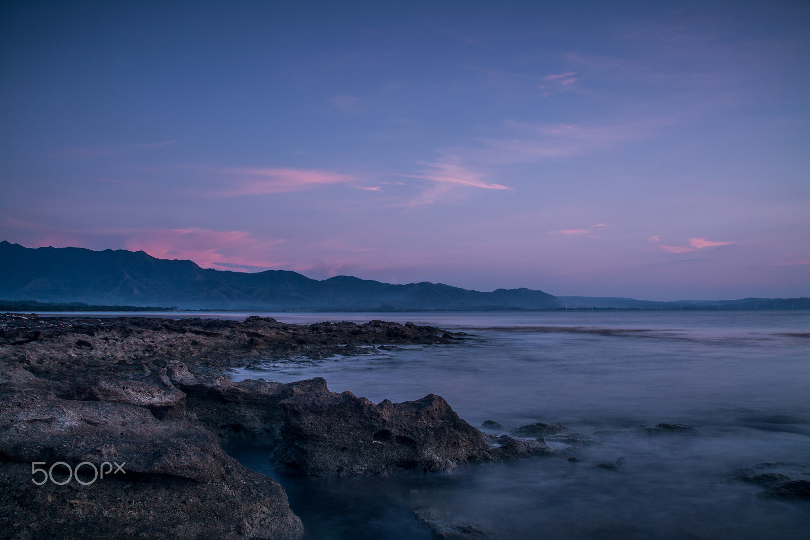 Sigma 28-300mm F3.5-6.3 DG Macro sample photo. Calming sense of security photography