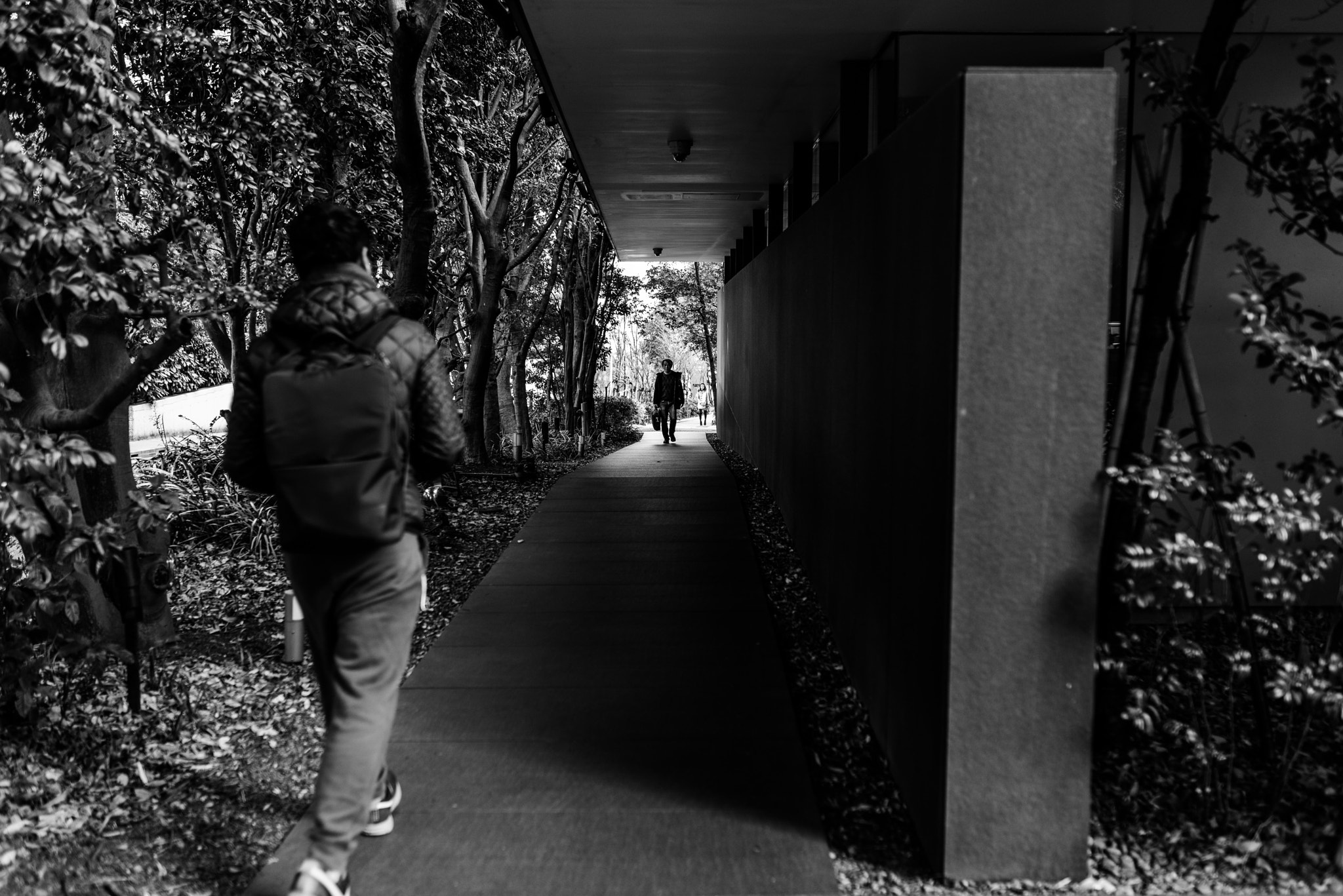Nikon D810 + Sigma 35mm F1.4 DG HSM Art sample photo