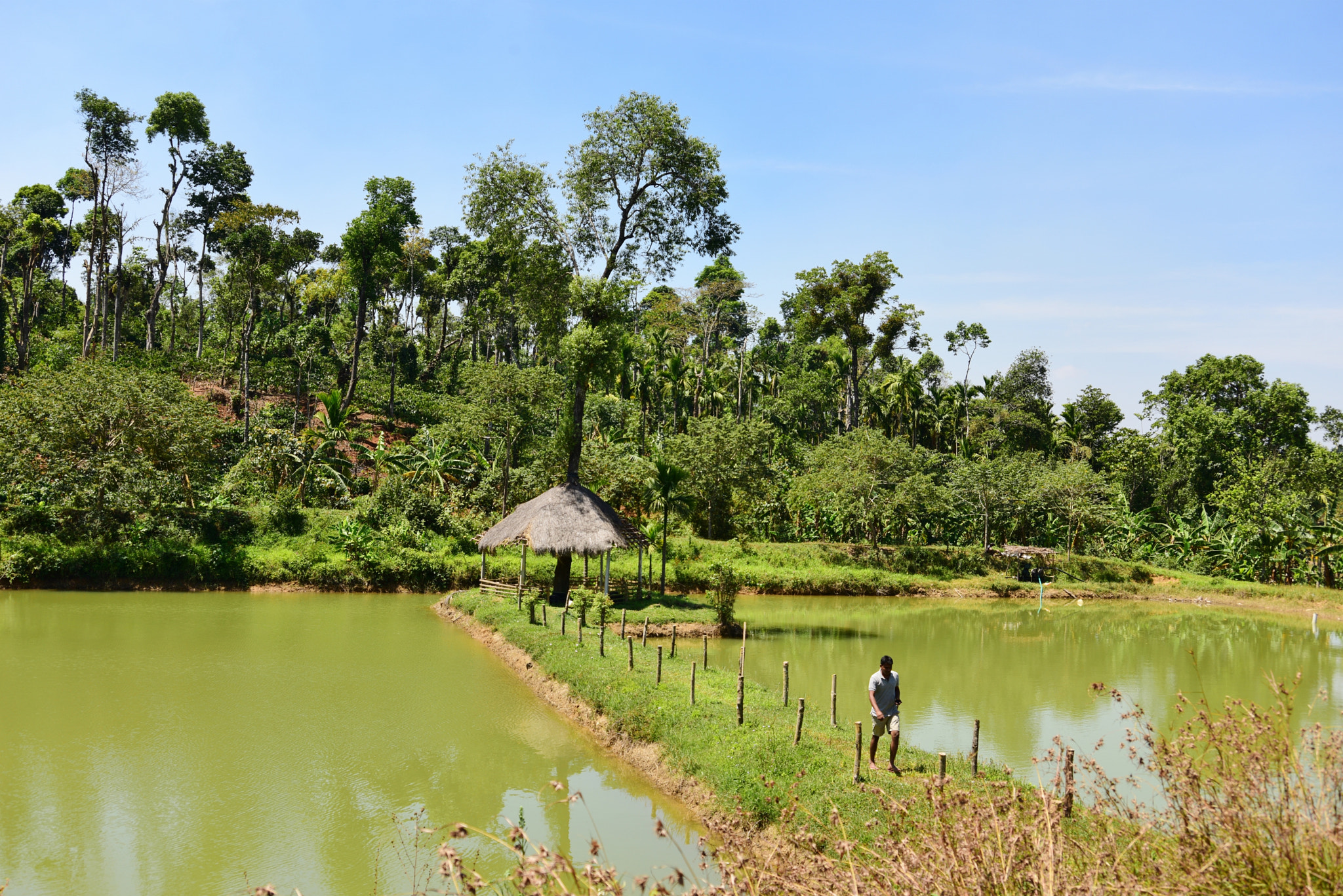 AF Zoom-Nikkor 35-80mm f/4-5.6D sample photo. Dual pond photography