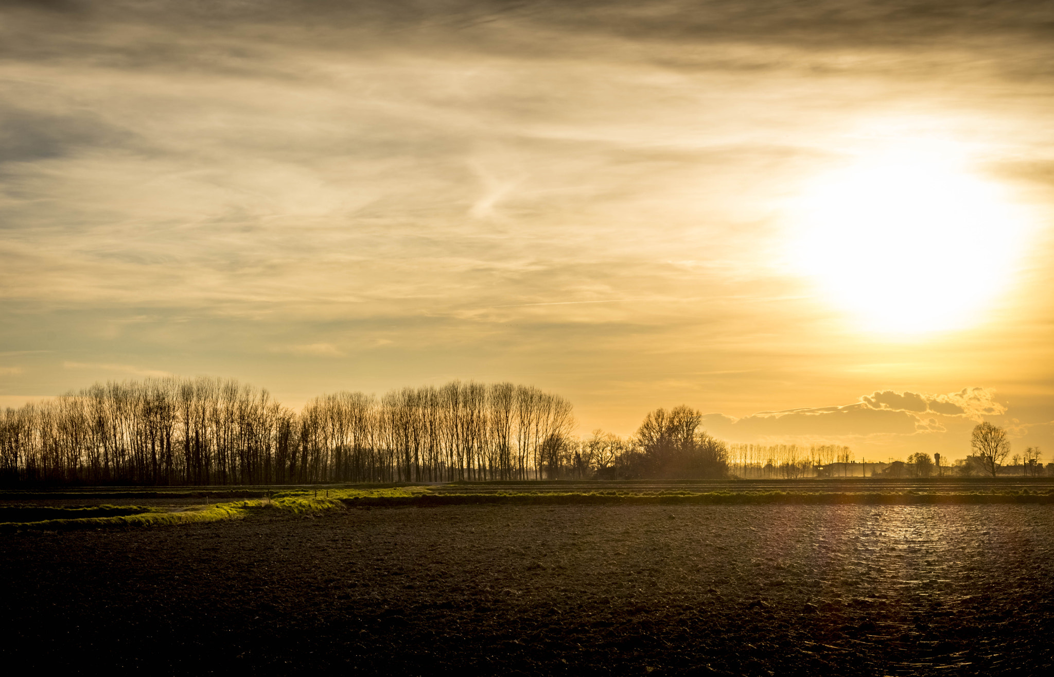 Nikon D7200 + Sigma 70-300mm F4-5.6 DG OS sample photo. Golden hour. photography