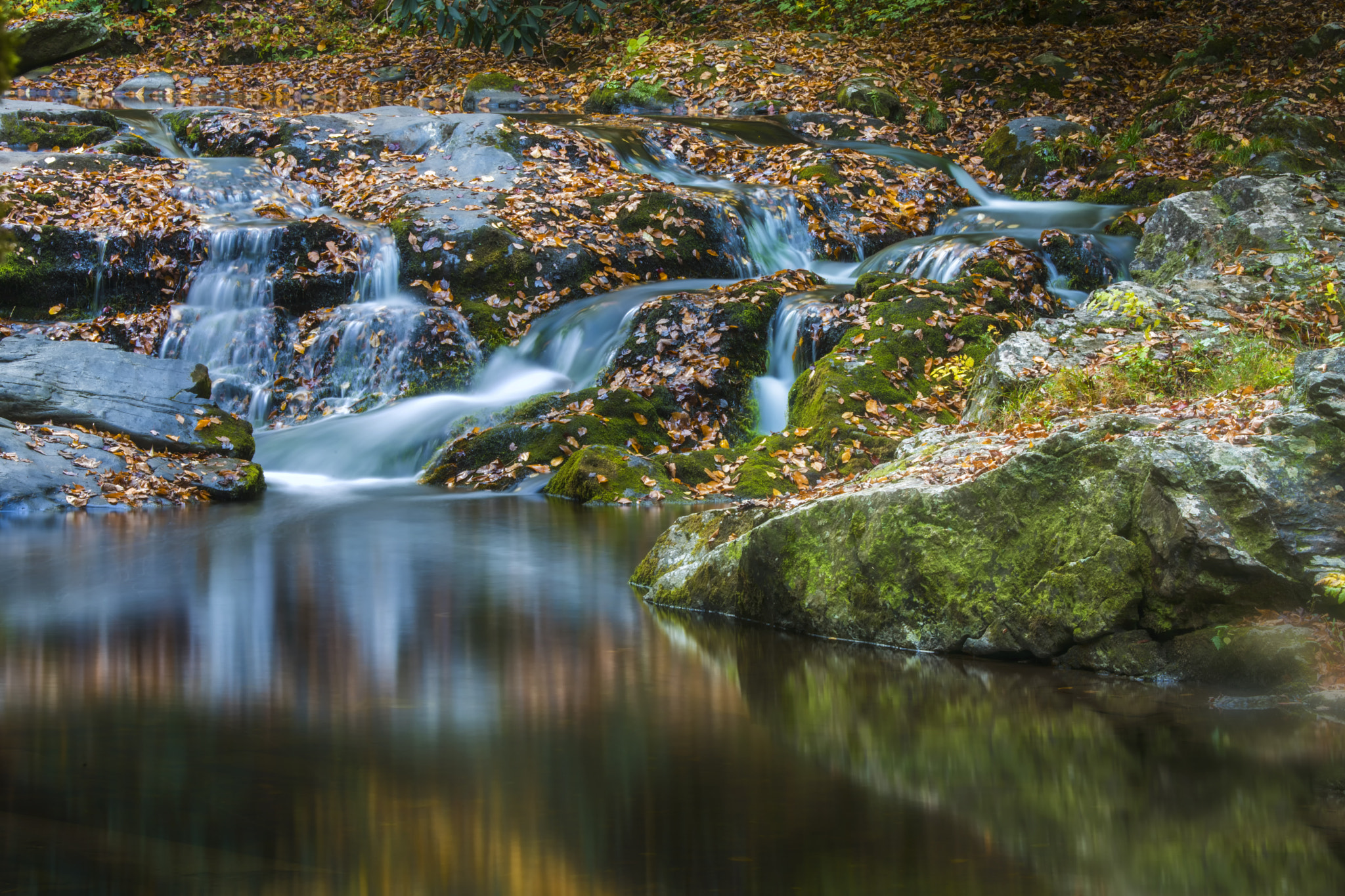Nikon D810 sample photo. Autumn  water flow photography