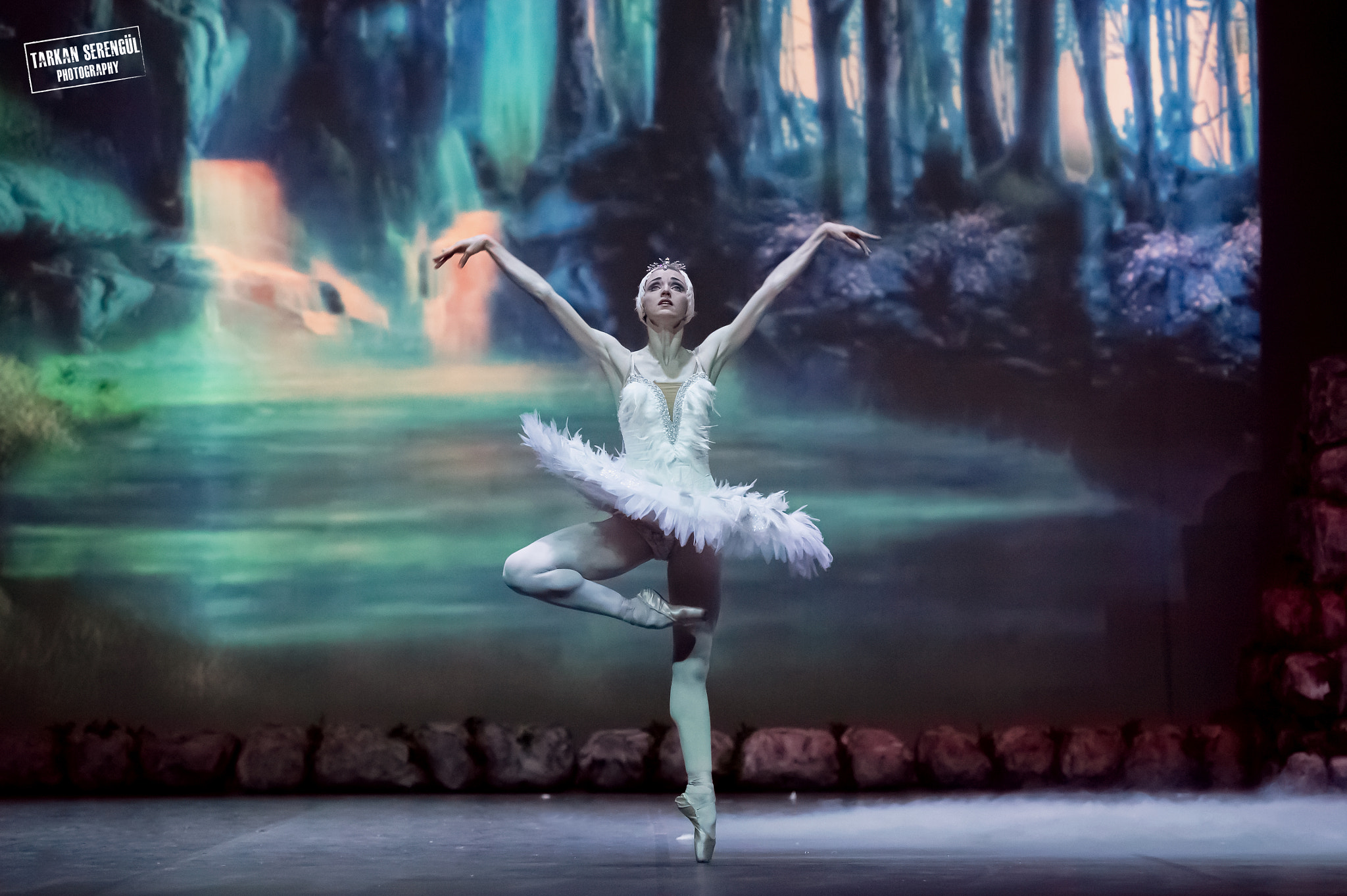 Nikon AF-S Nikkor 70-200mm F2.8G ED VR II sample photo. Swan lake photography