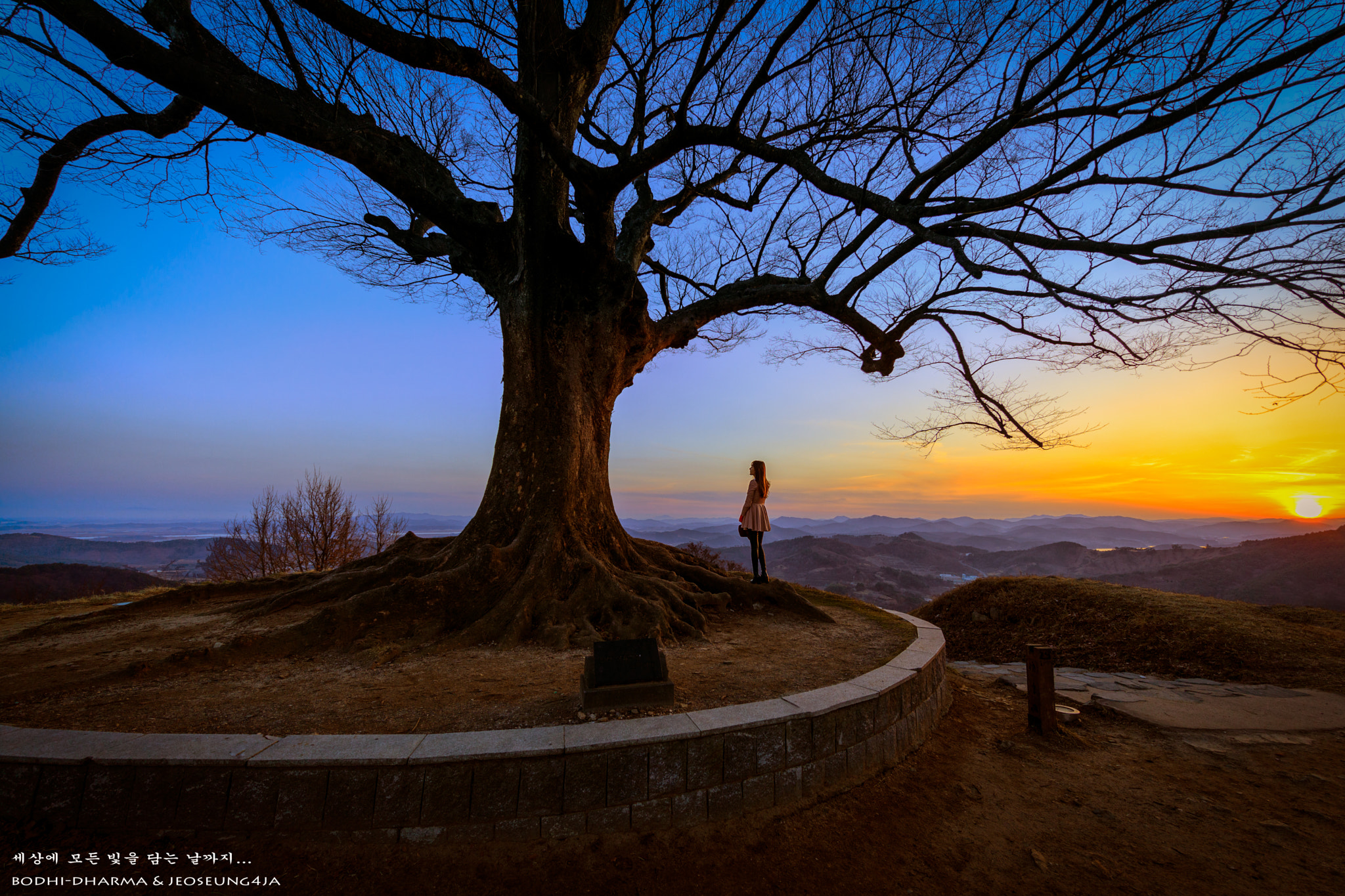 Canon EF 11-24mm F4L USM sample photo. Pa photography