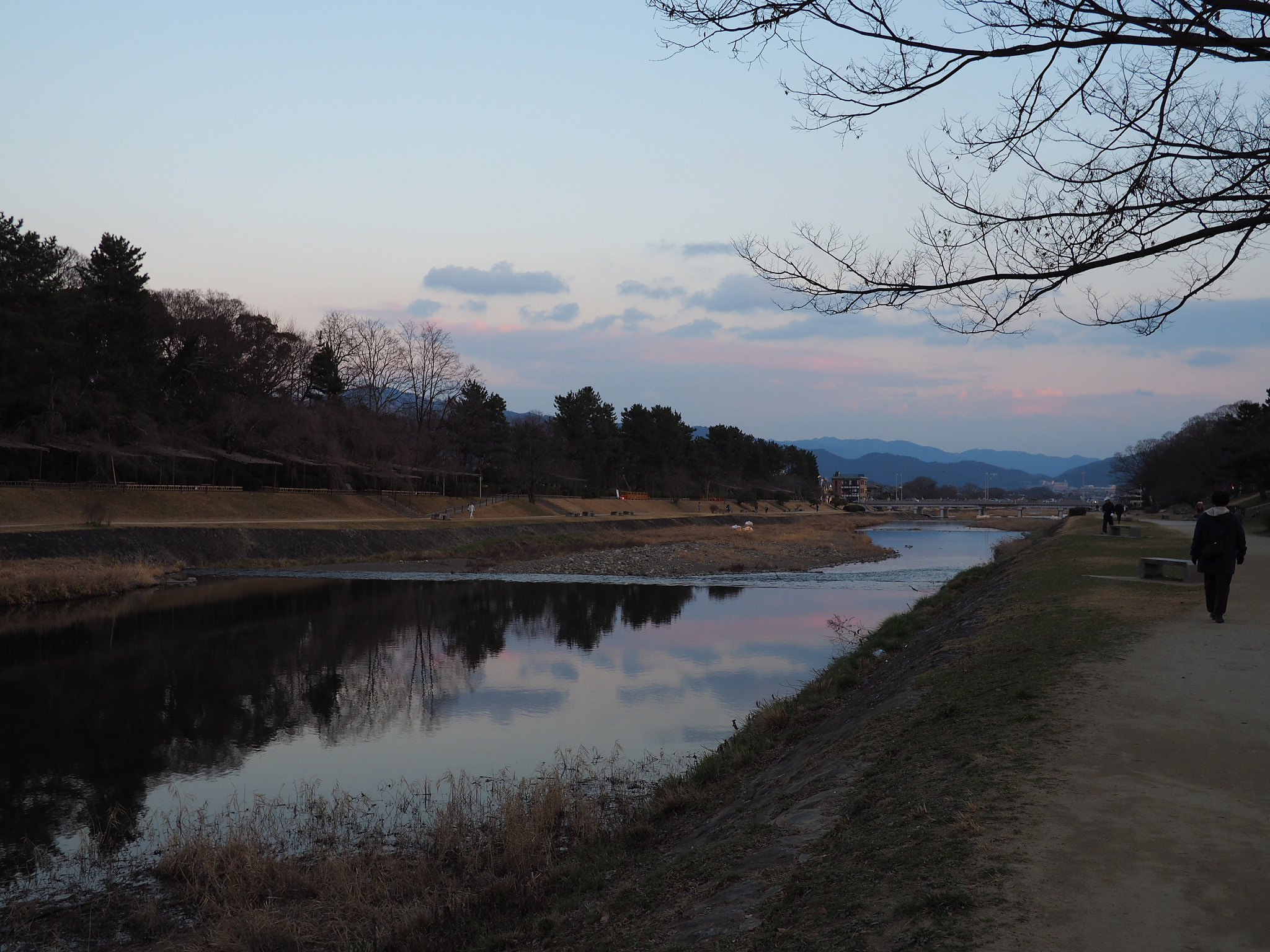 Olympus PEN E-PL7 + LUMIX G 20/F1.7 II sample photo. 20170430 photography