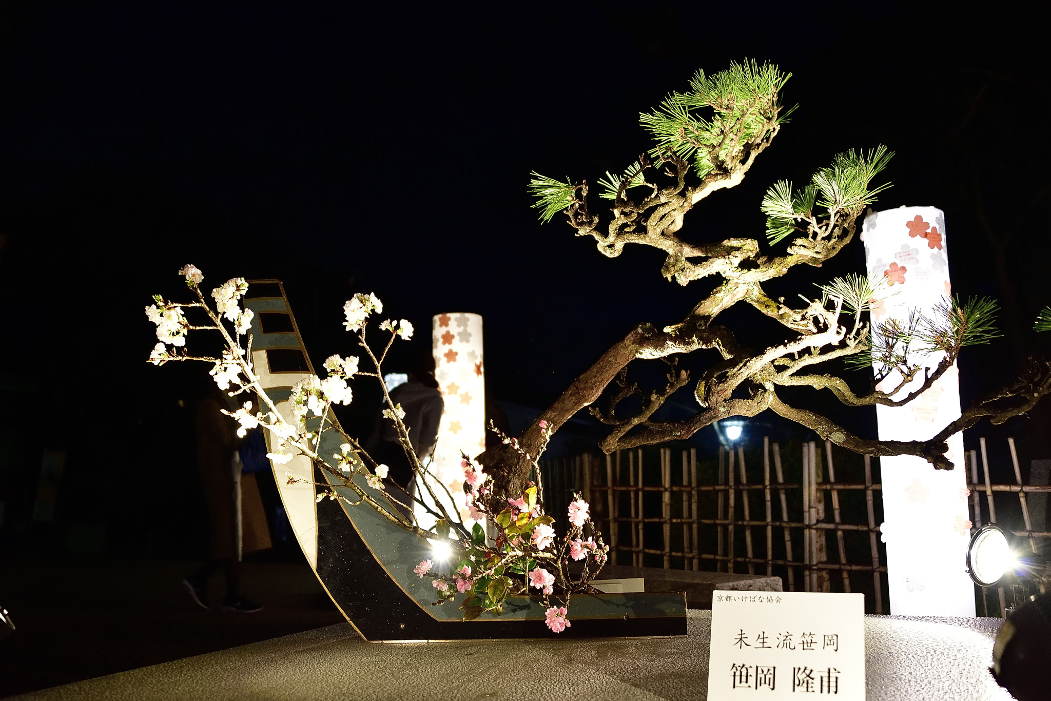 Nikon D800E sample photo. Flower arrangement～京都花灯路～ photography