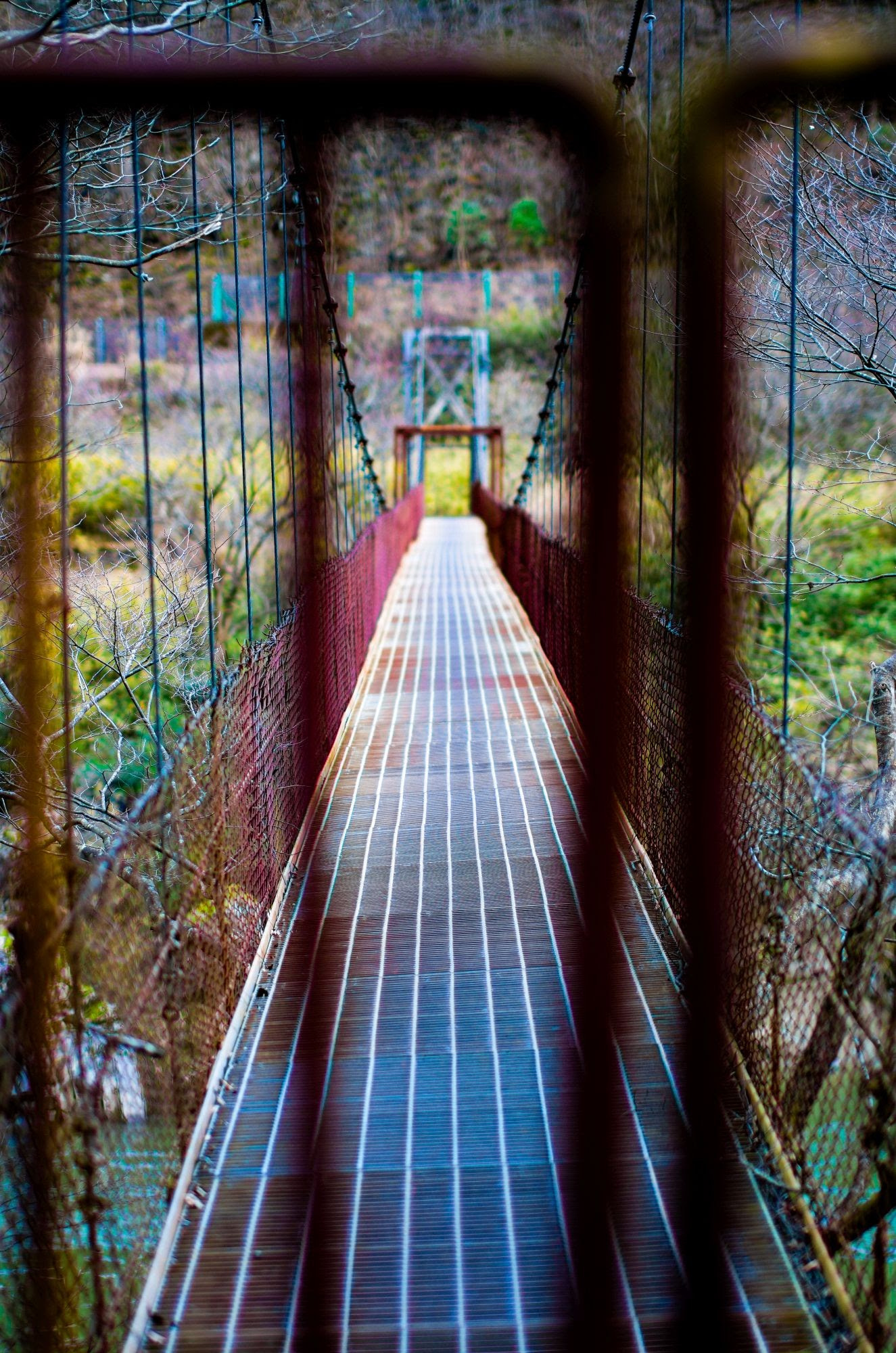 Pentax K-5 IIs + Sigma 50mm F1.4 EX DG HSM sample photo. A bridge that can not cross photography