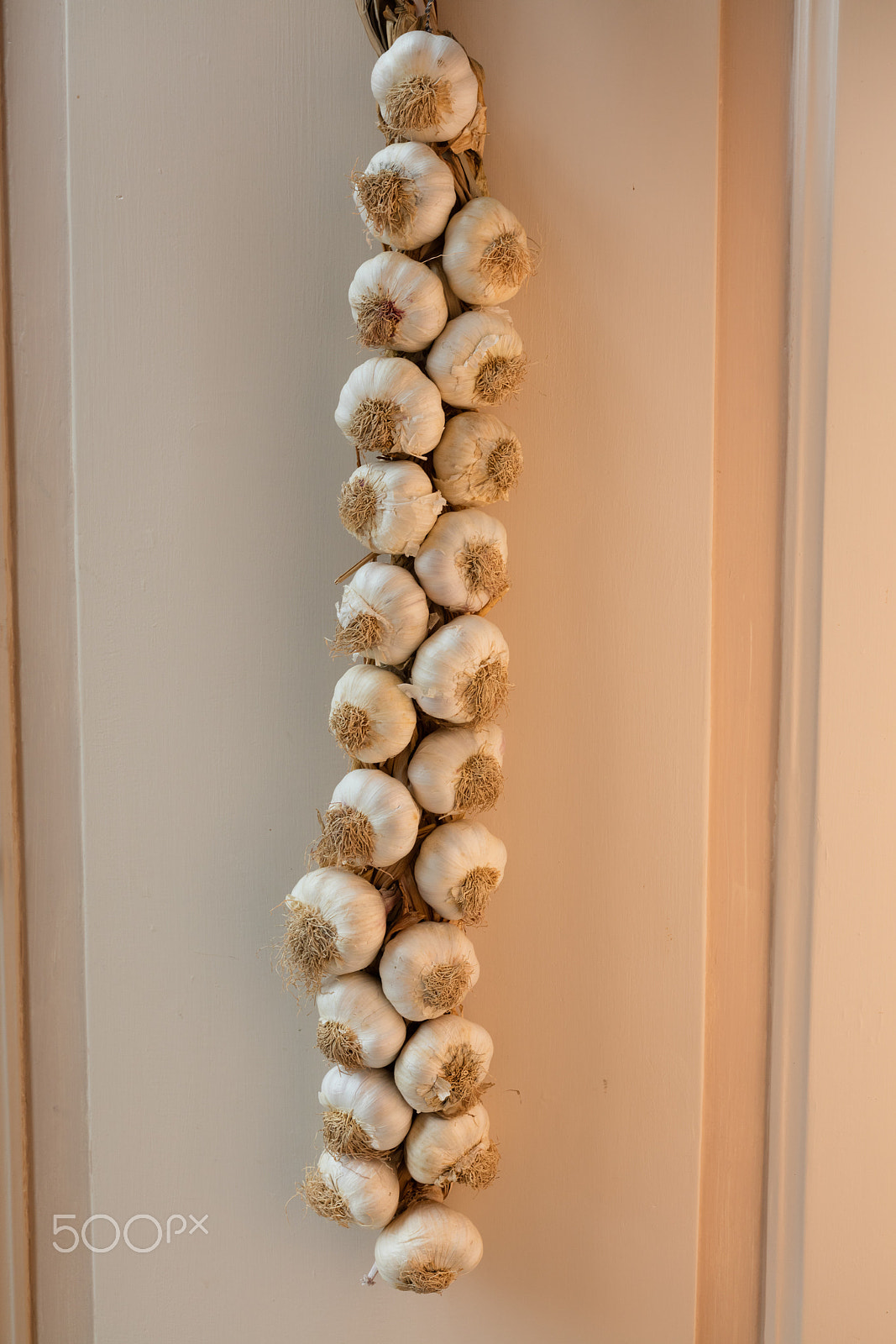 Sigma 24-70mm F2.8 EX DG Macro sample photo. A garlic braid photography