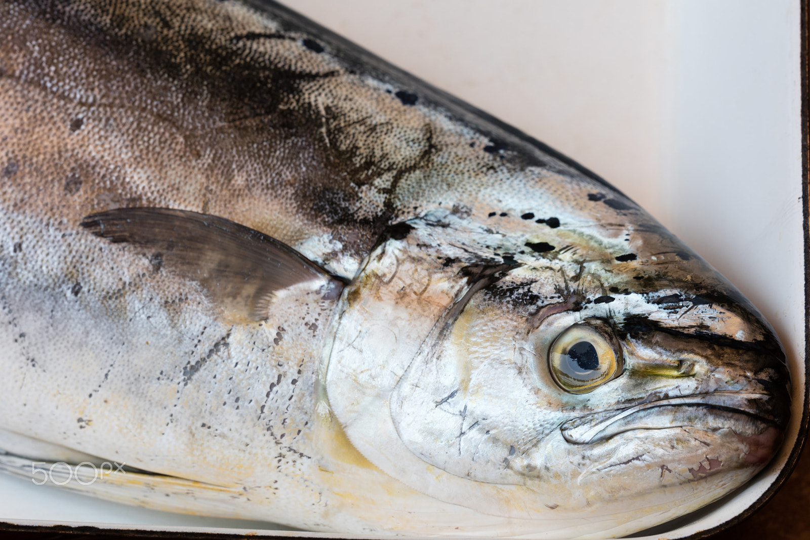 Sigma 150mm f/2.8 EX DG OS HSM APO Macro sample photo. Lampuga in market photography