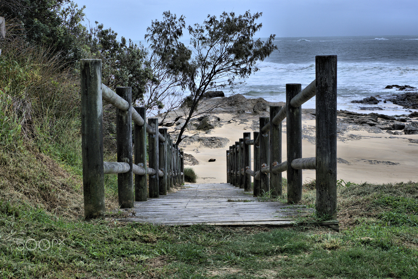 Sony FE 50mm F1.8 sample photo. Wooden path dsc01413 -2.jpg photography