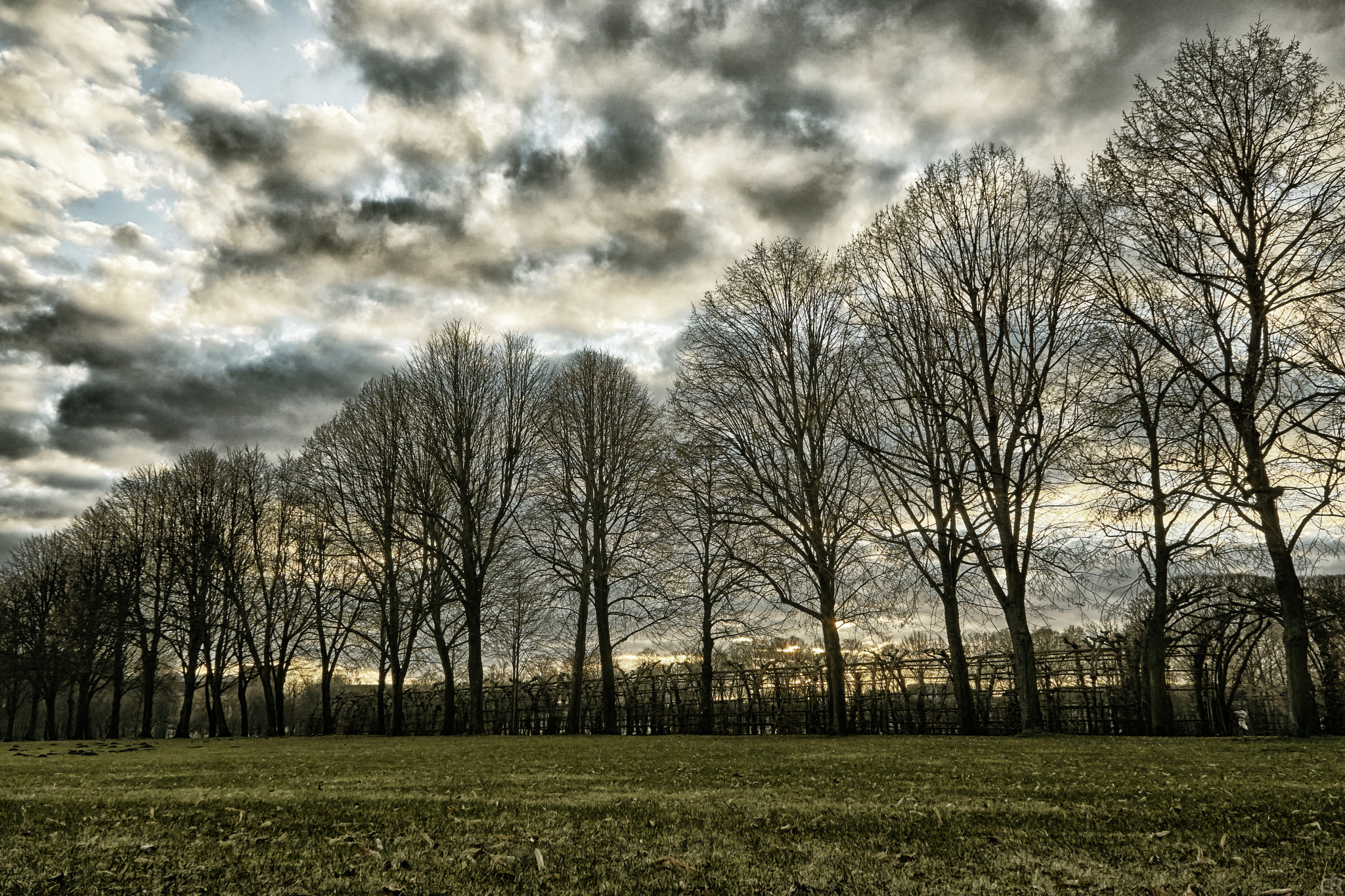 Sony a6000 + Sony E 18-55mm F3.5-5.6 OSS sample photo. Baumreihe im schlossgarten photography