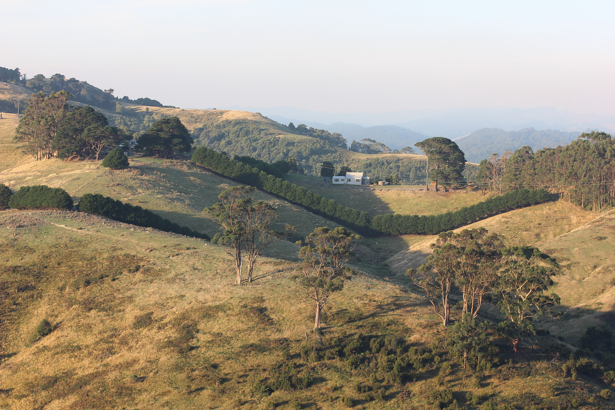 Canon EOS 600D (Rebel EOS T3i / EOS Kiss X5) sample photo. Farm outside apollo bay photography