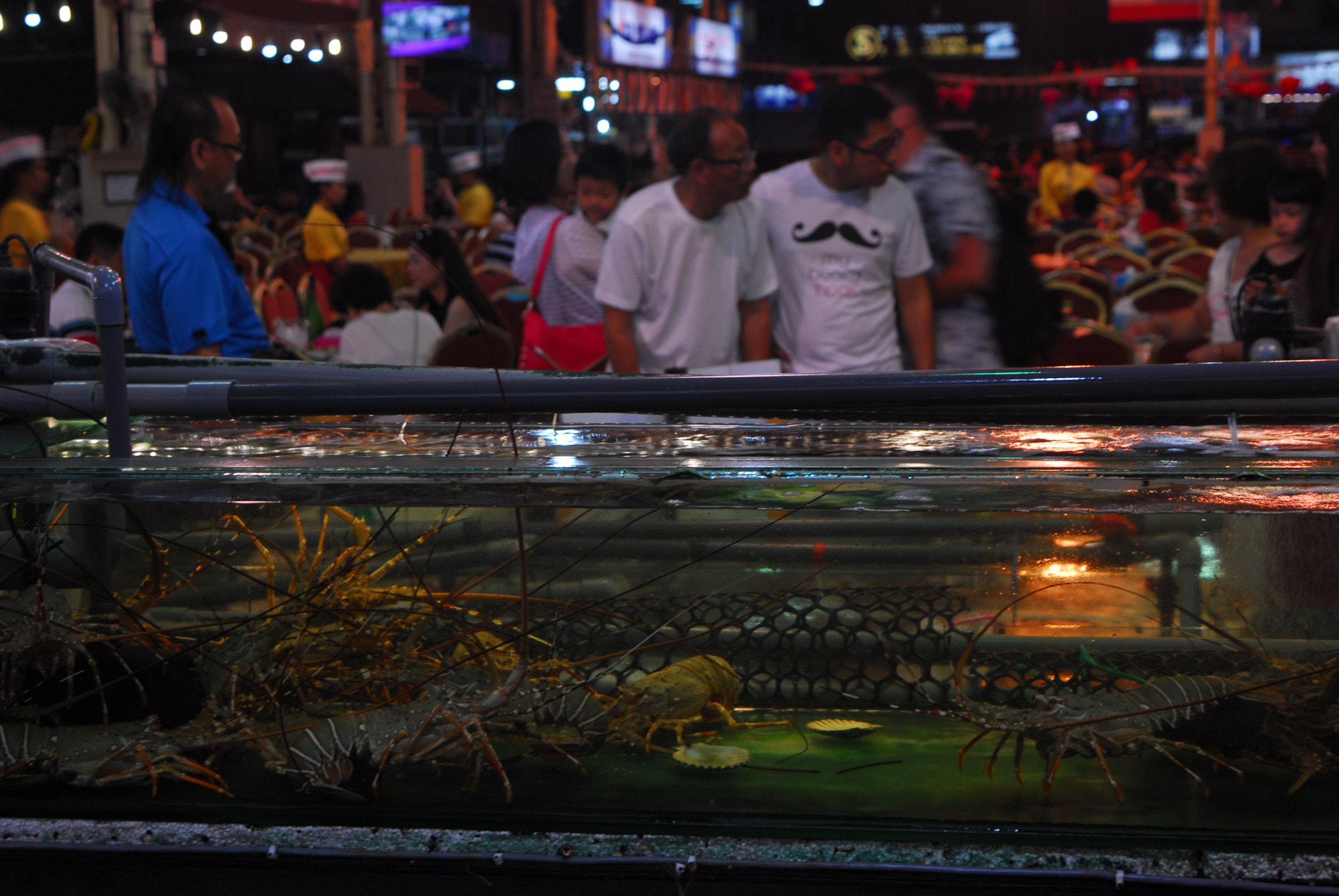 Nikon D200 sample photo. Choosing fish for dinner, kota kinablu, malaysia photography