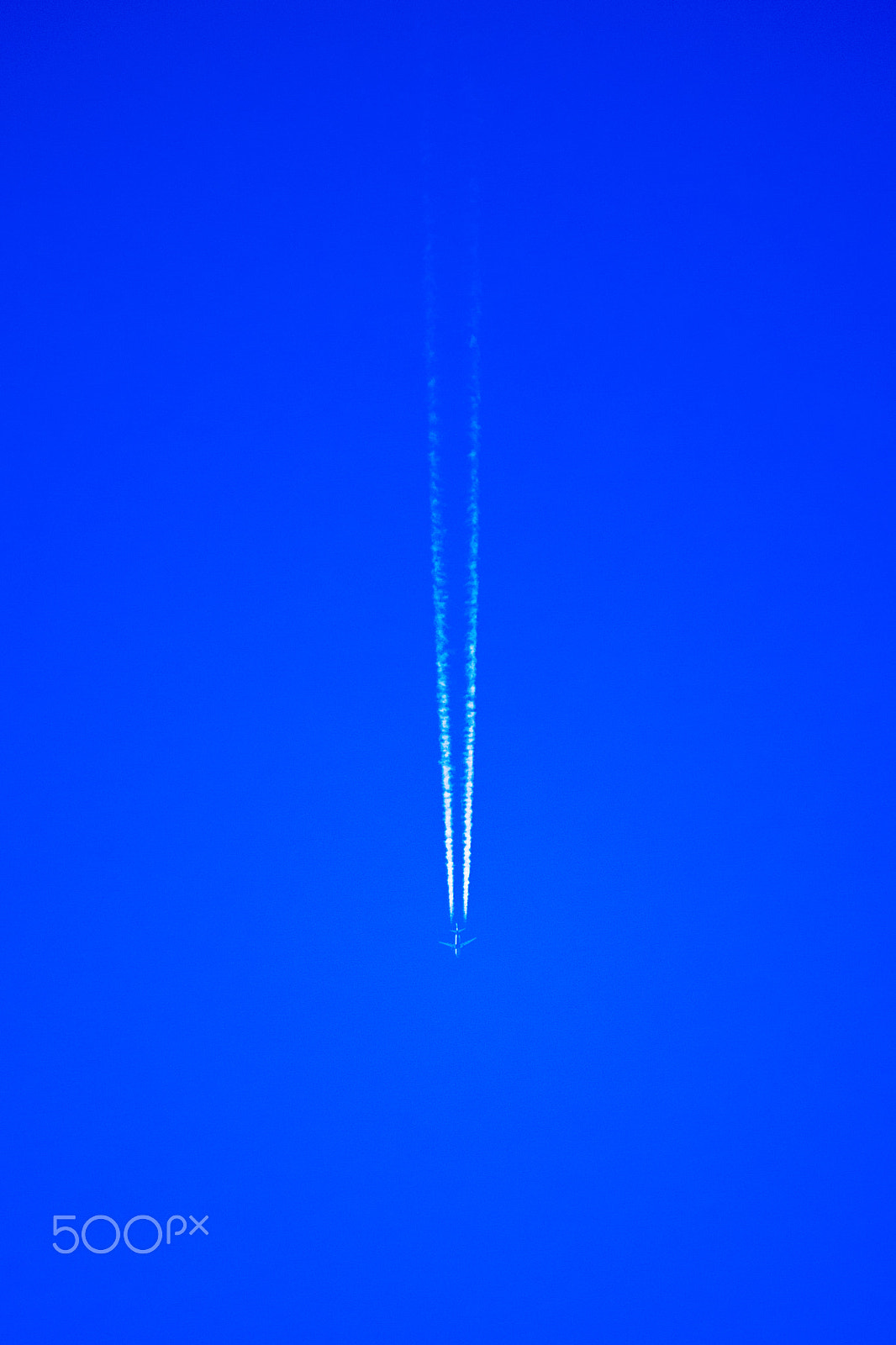 Canon EF-S 55-250mm F4-5.6 IS sample photo. Blue photography