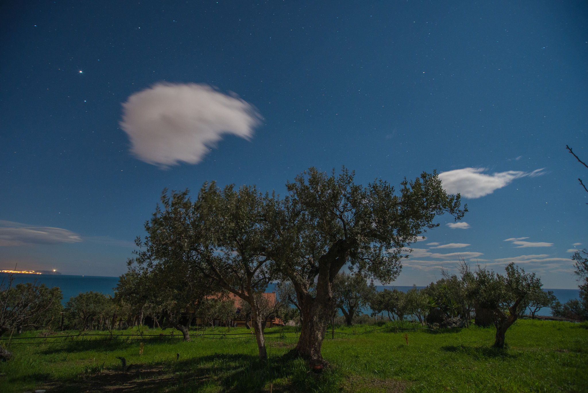 Nikon D750 + Sigma 17-35mm F2.8-4 EX Aspherical sample photo. Starry night under the moonlight photography