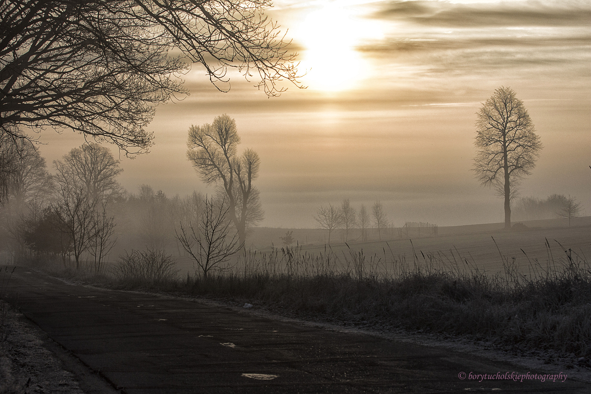 Canon EF 70-200mm F2.8L USM sample photo. Morning. photography