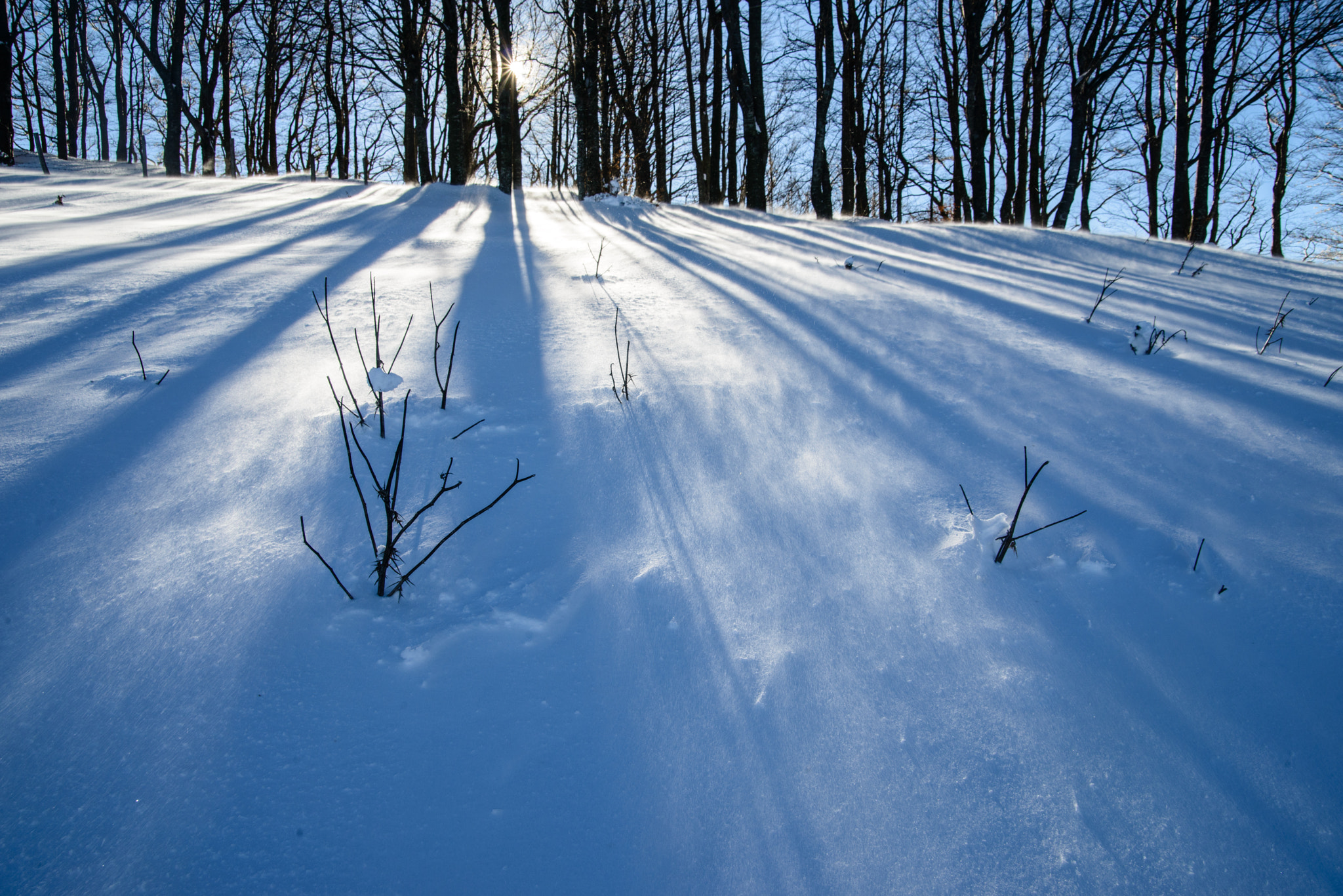 Nikon D800 sample photo. Long shadows photography