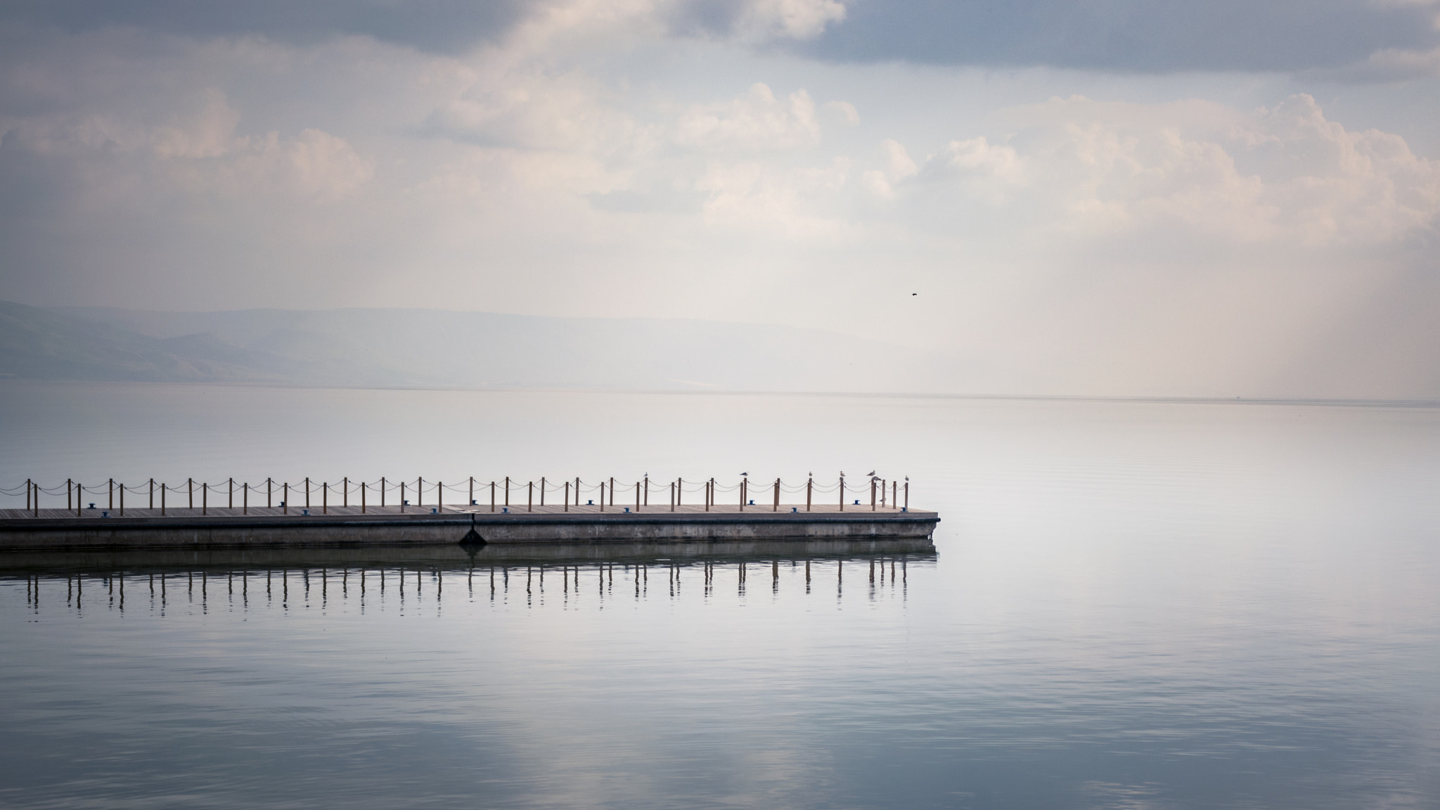 Sigma 18-35mm F1.8 DC HSM Art sample photo. Clam photography