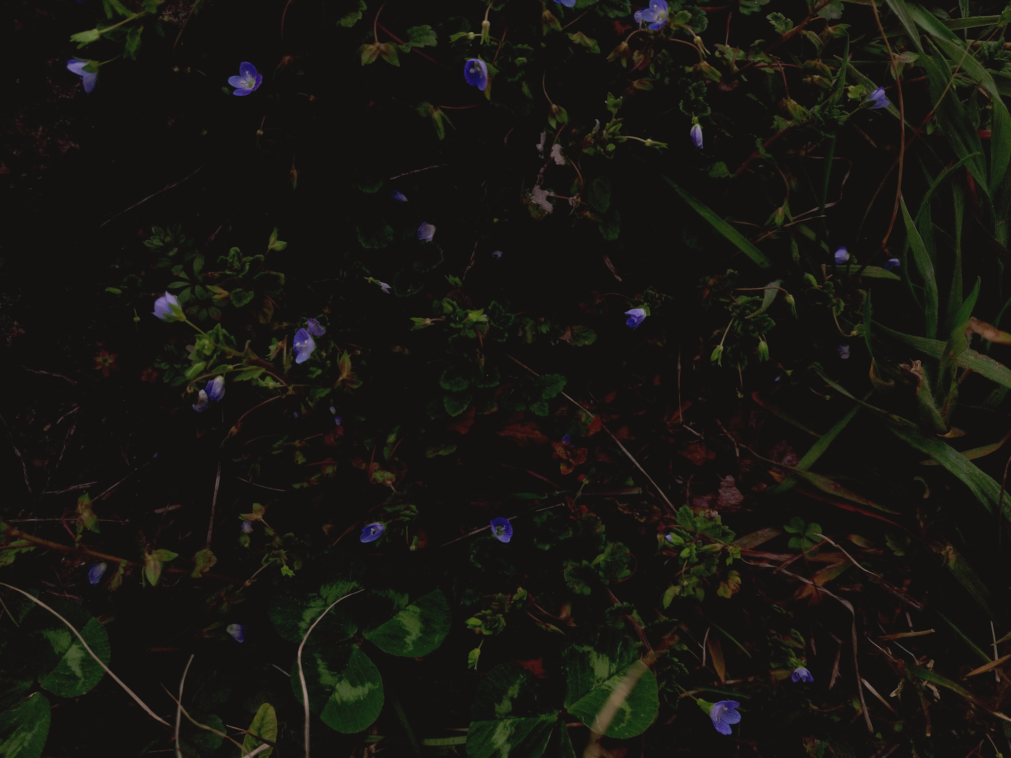 Meizu MX5 sample photo