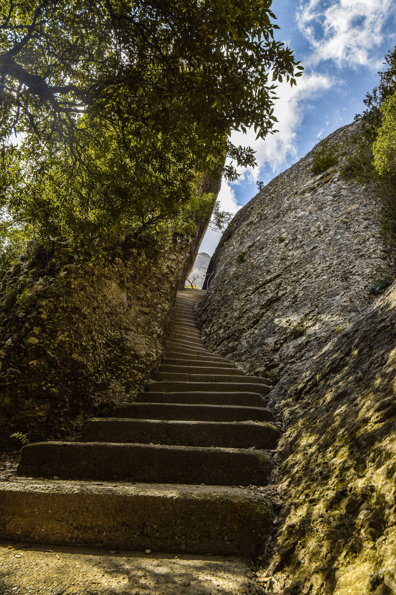 Samyang 14mm F2.8 ED AS IF UMC sample photo. The stairway to heaven. photography