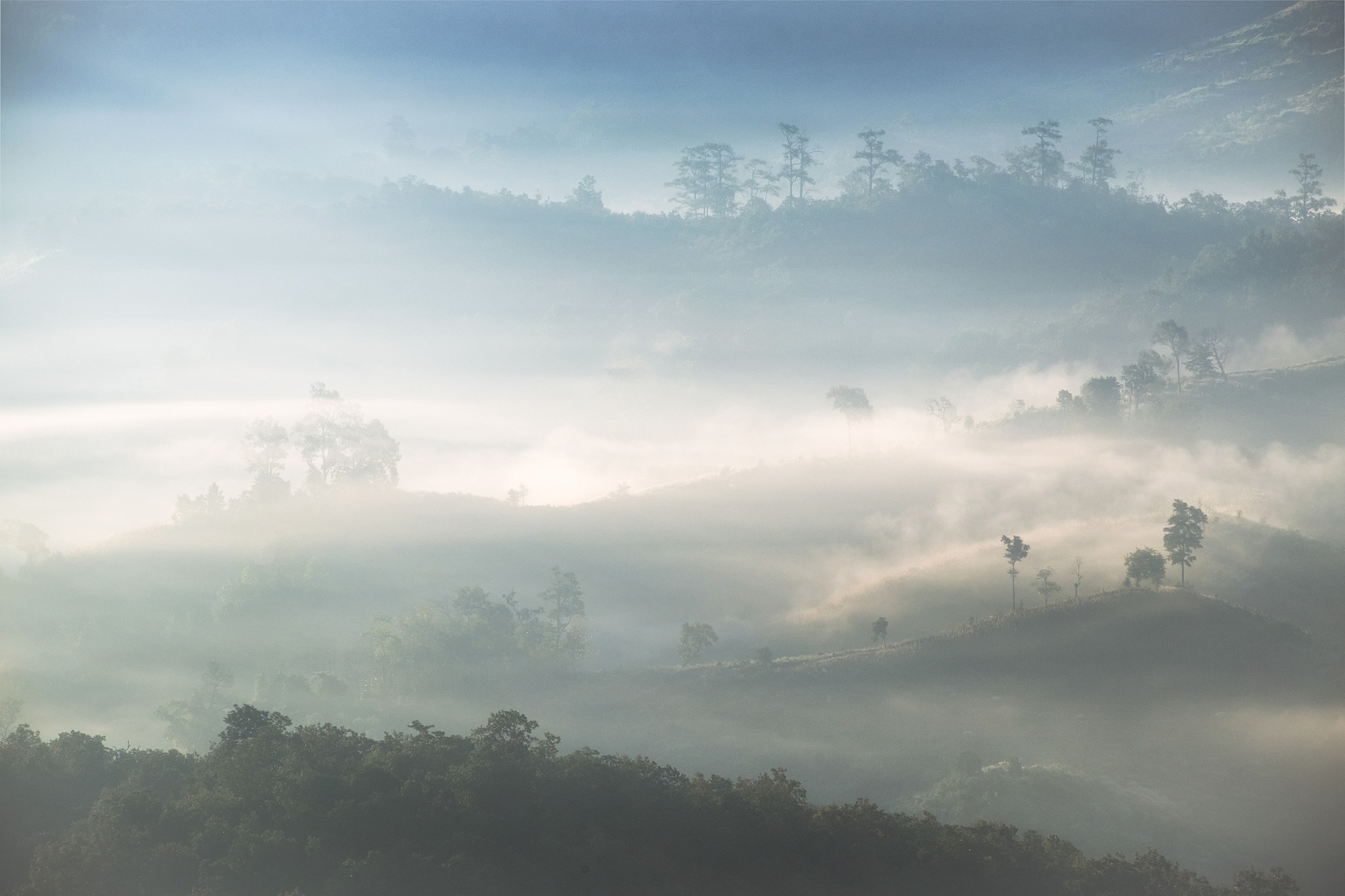 Fujifilm X-E2 + Fujifilm XF 55-200mm F3.5-4.8 R LM OIS sample photo. Foggy hill photography